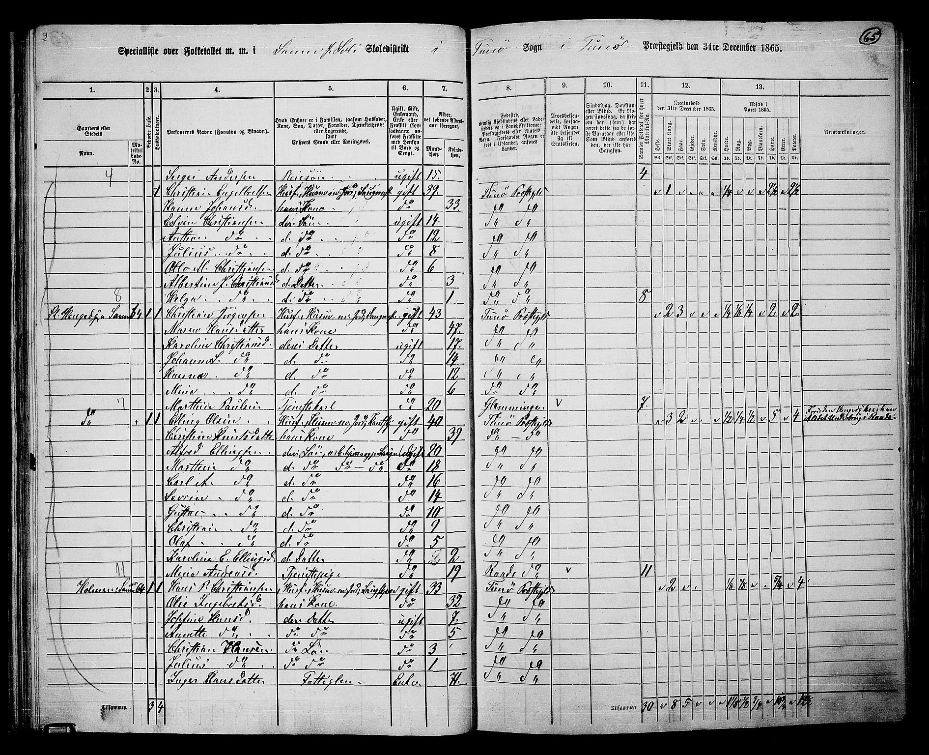 RA, 1865 census for Tune, 1865, p. 61