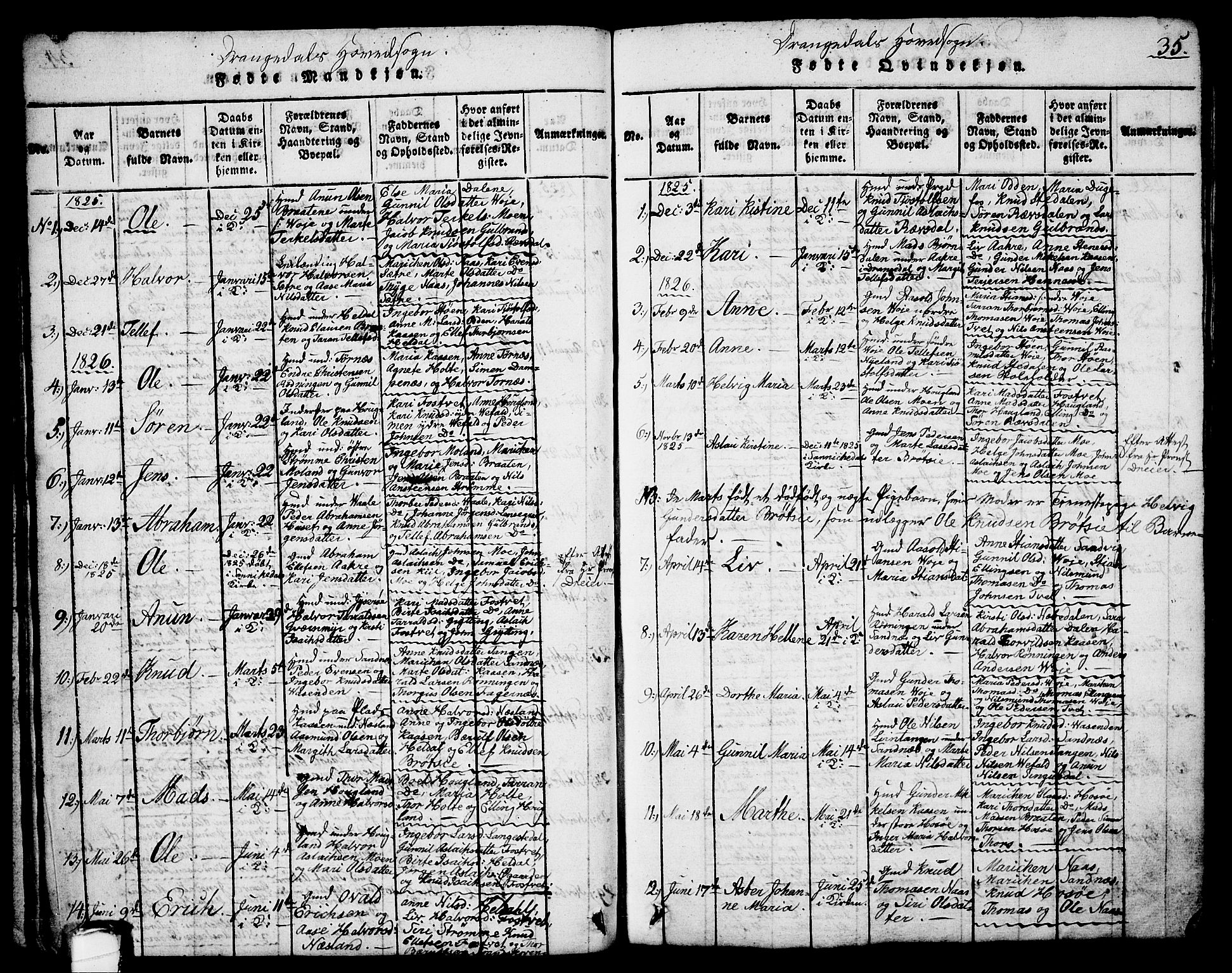 Drangedal kirkebøker, SAKO/A-258/G/Ga/L0001: Parish register (copy) no. I 1 /1, 1814-1856, p. 35