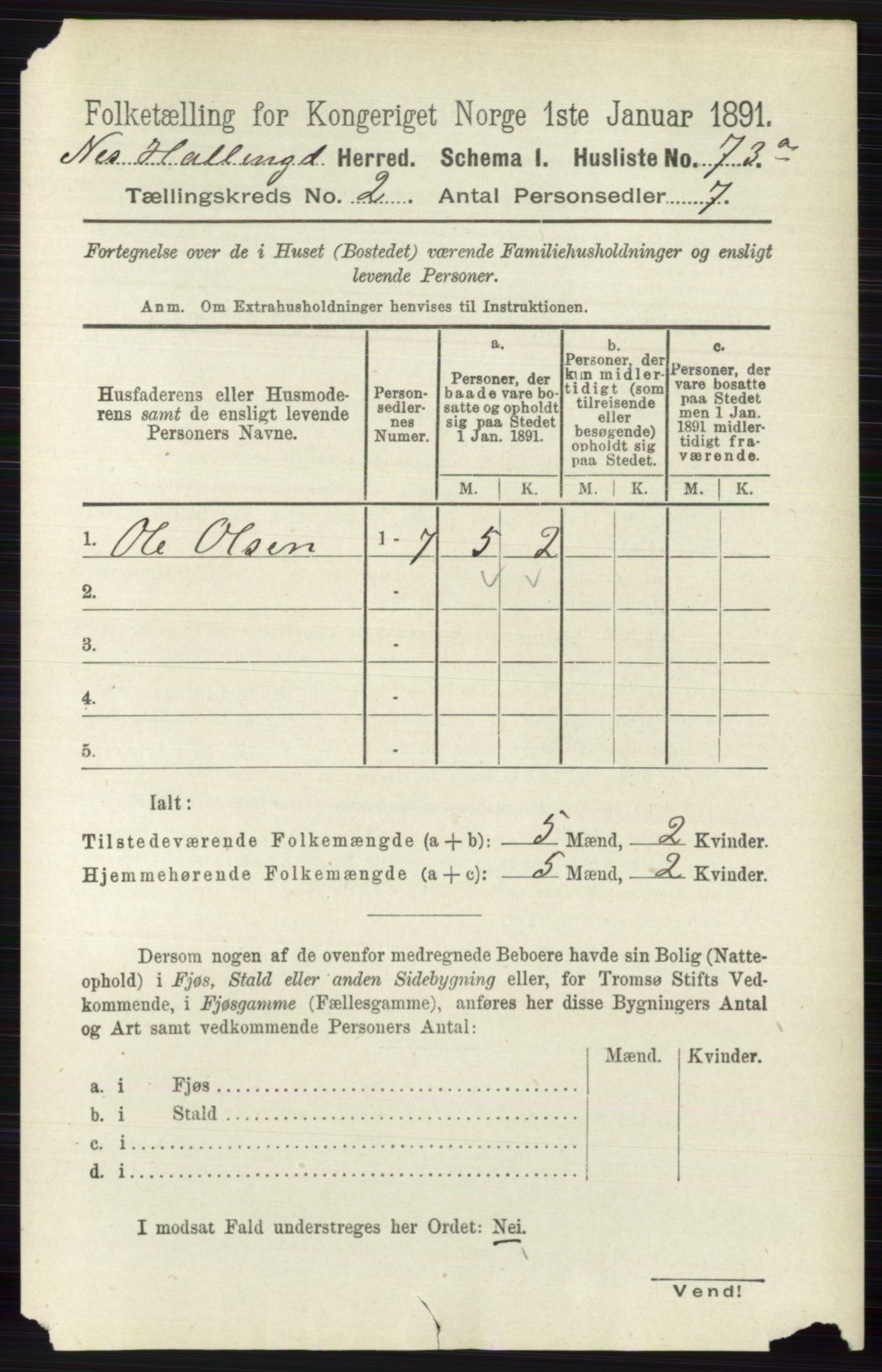 RA, 1891 census for 0616 Nes, 1891, p. 982