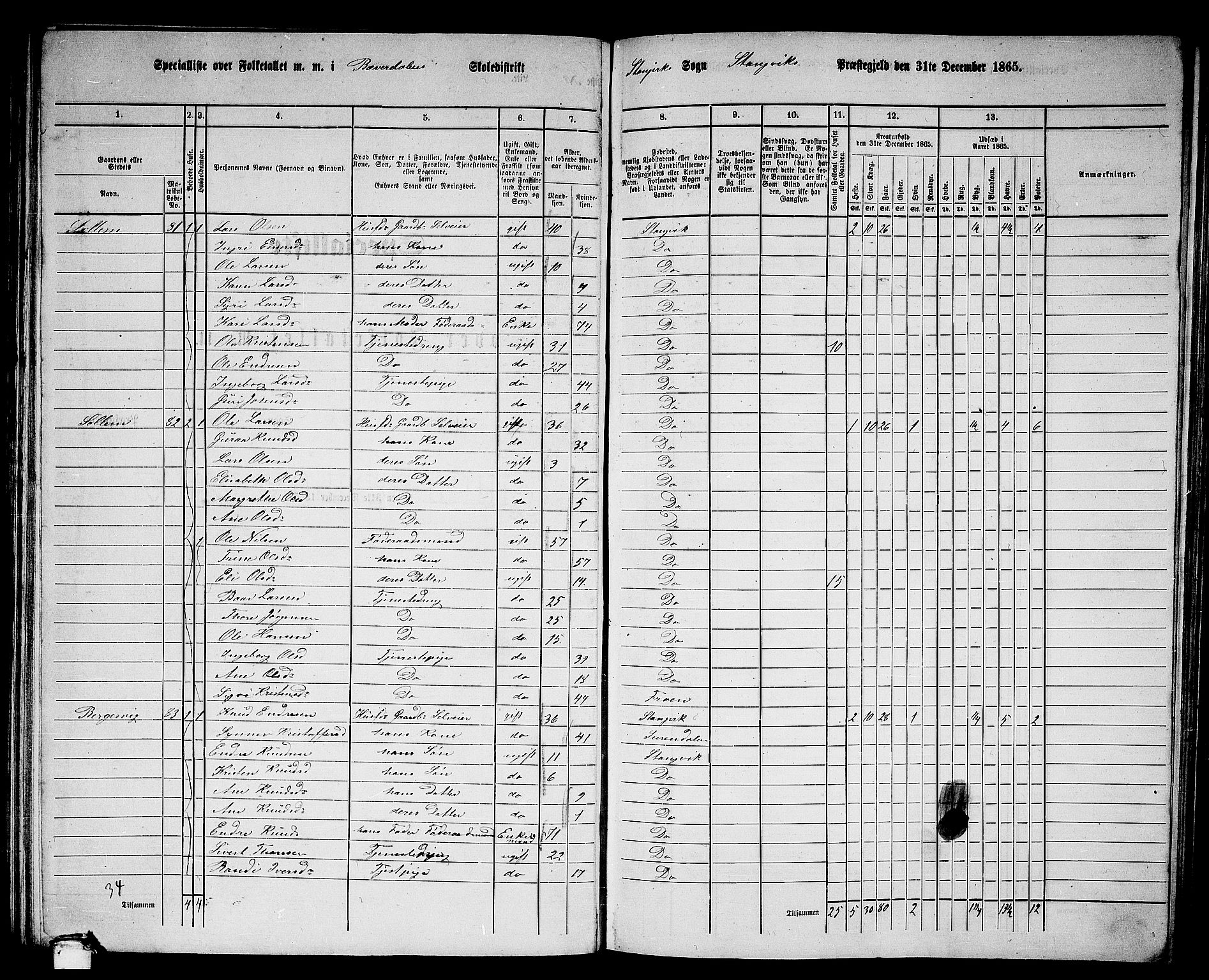 RA, 1865 census for Stangvik, 1865, p. 70