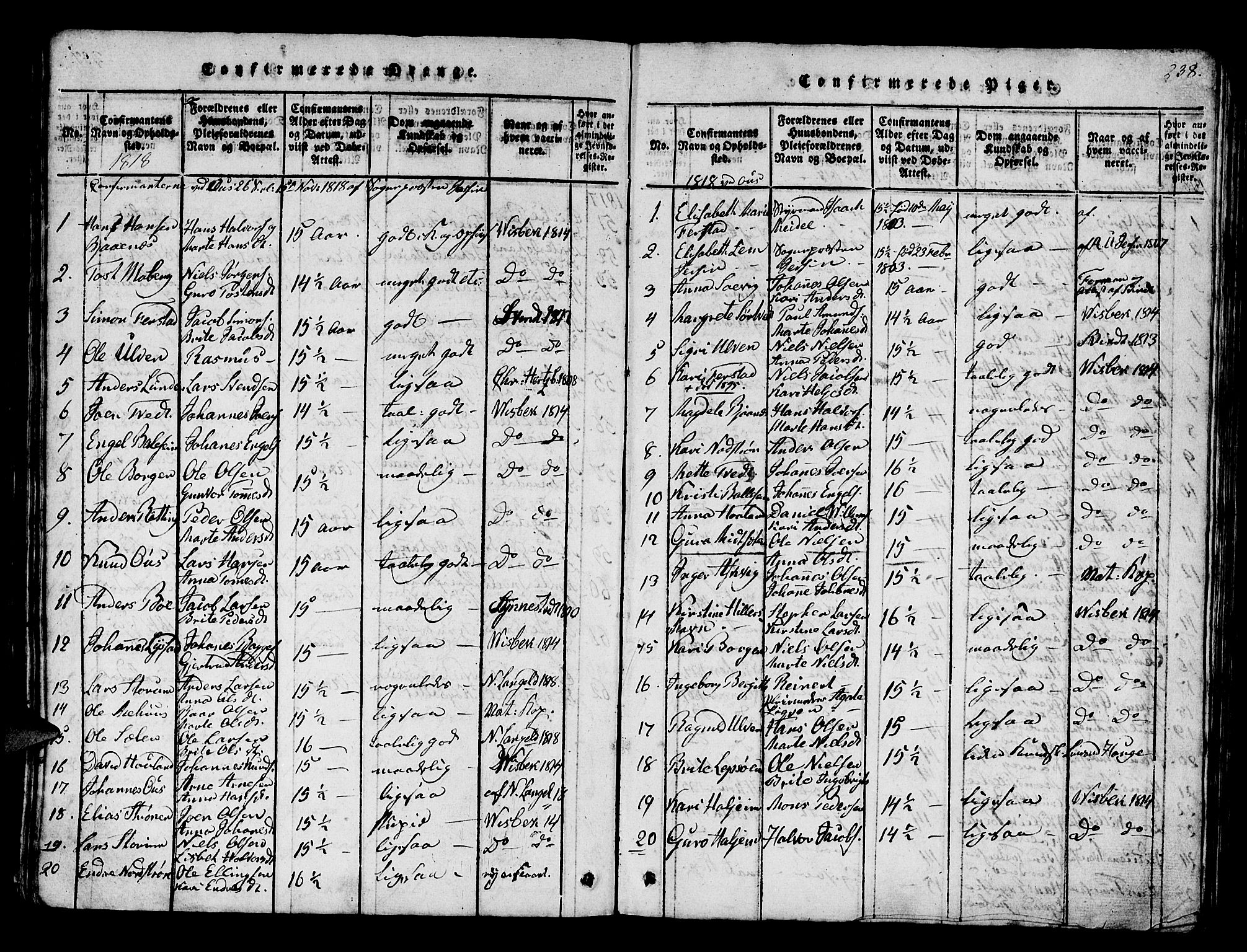 Os sokneprestembete, AV/SAB-A-99929: Parish register (official) no. A 12, 1816-1825, p. 238