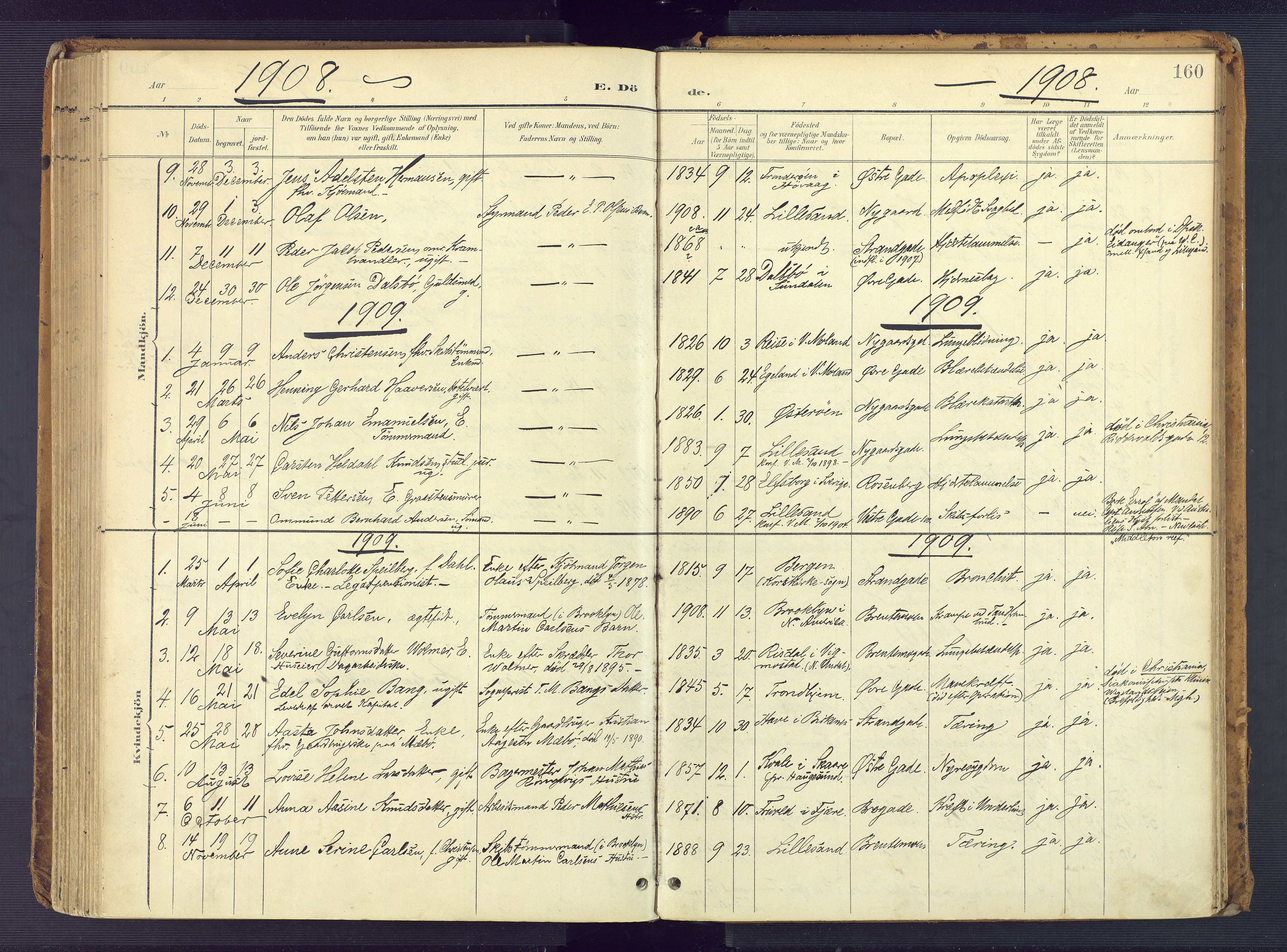 Vestre Moland sokneprestkontor, AV/SAK-1111-0046/F/Fa/Faa/L0002: Parish register (official) no. A 2, 1900-1926, p. 160