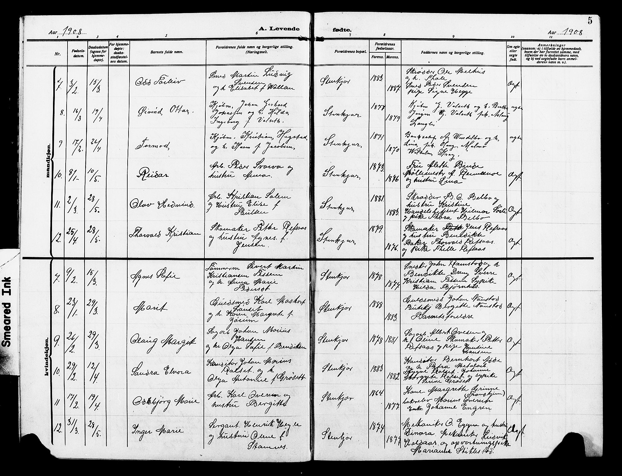 Ministerialprotokoller, klokkerbøker og fødselsregistre - Nord-Trøndelag, AV/SAT-A-1458/739/L0376: Parish register (copy) no. 739C04, 1908-1917, p. 5