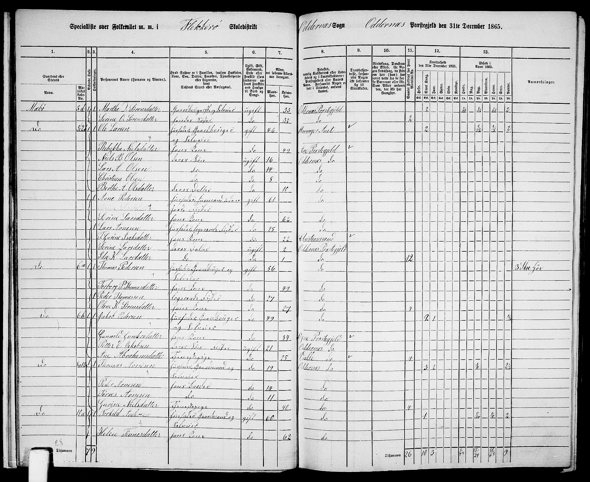 RA, 1865 census for Oddernes, 1865, p. 20