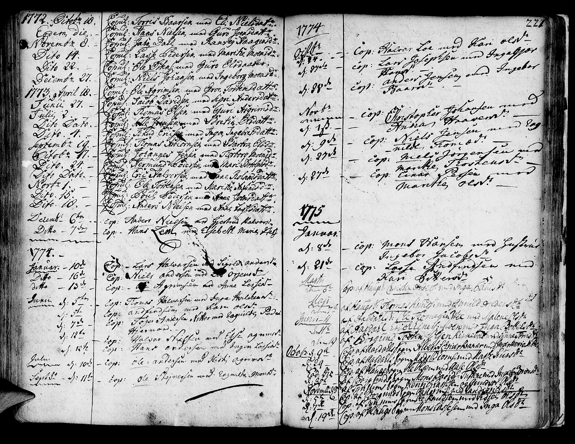 Lærdal sokneprestembete, SAB/A-81201: Parish register (official) no. A 2, 1752-1782, p. 221