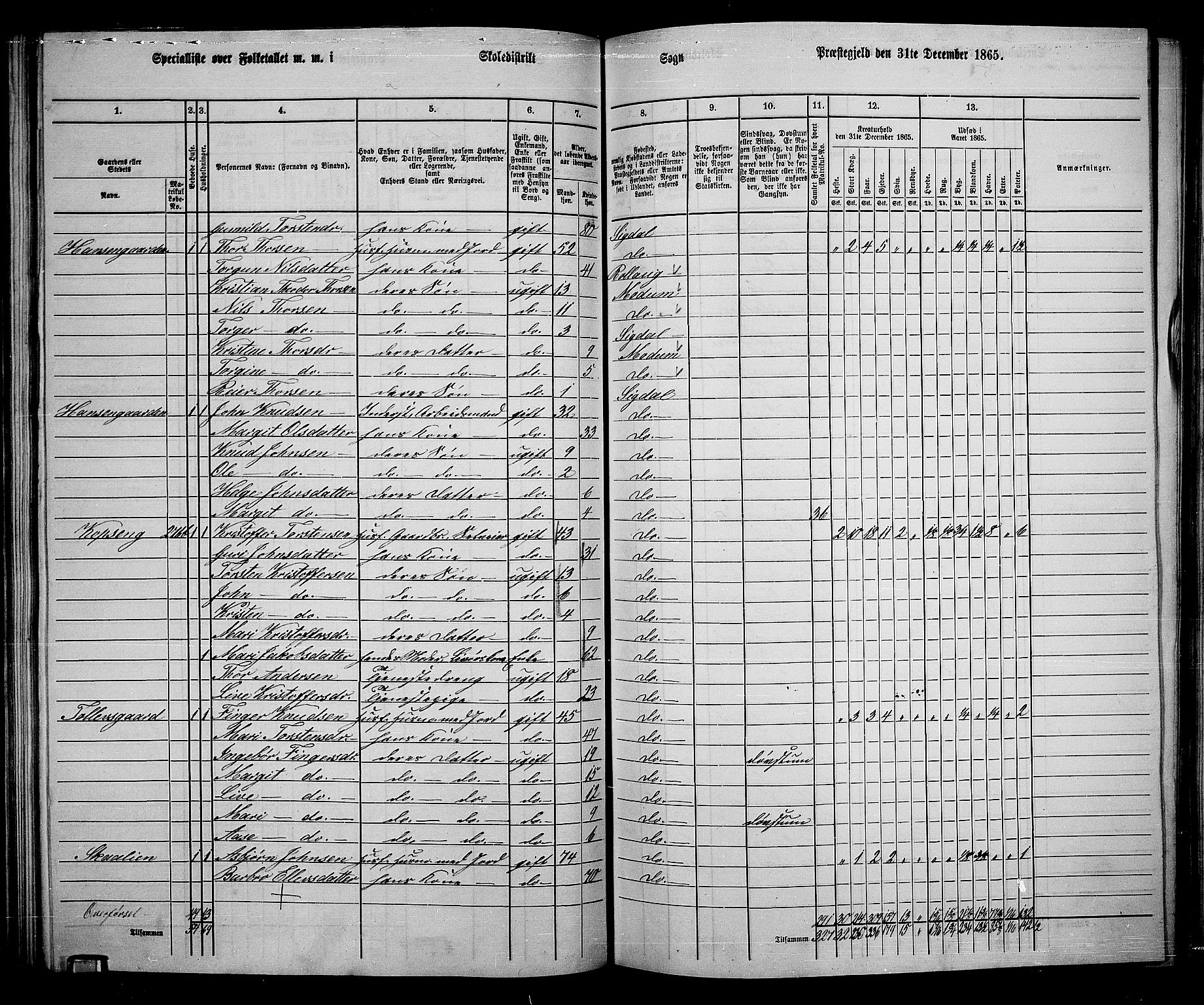 RA, 1865 census for Sigdal, 1865, p. 153