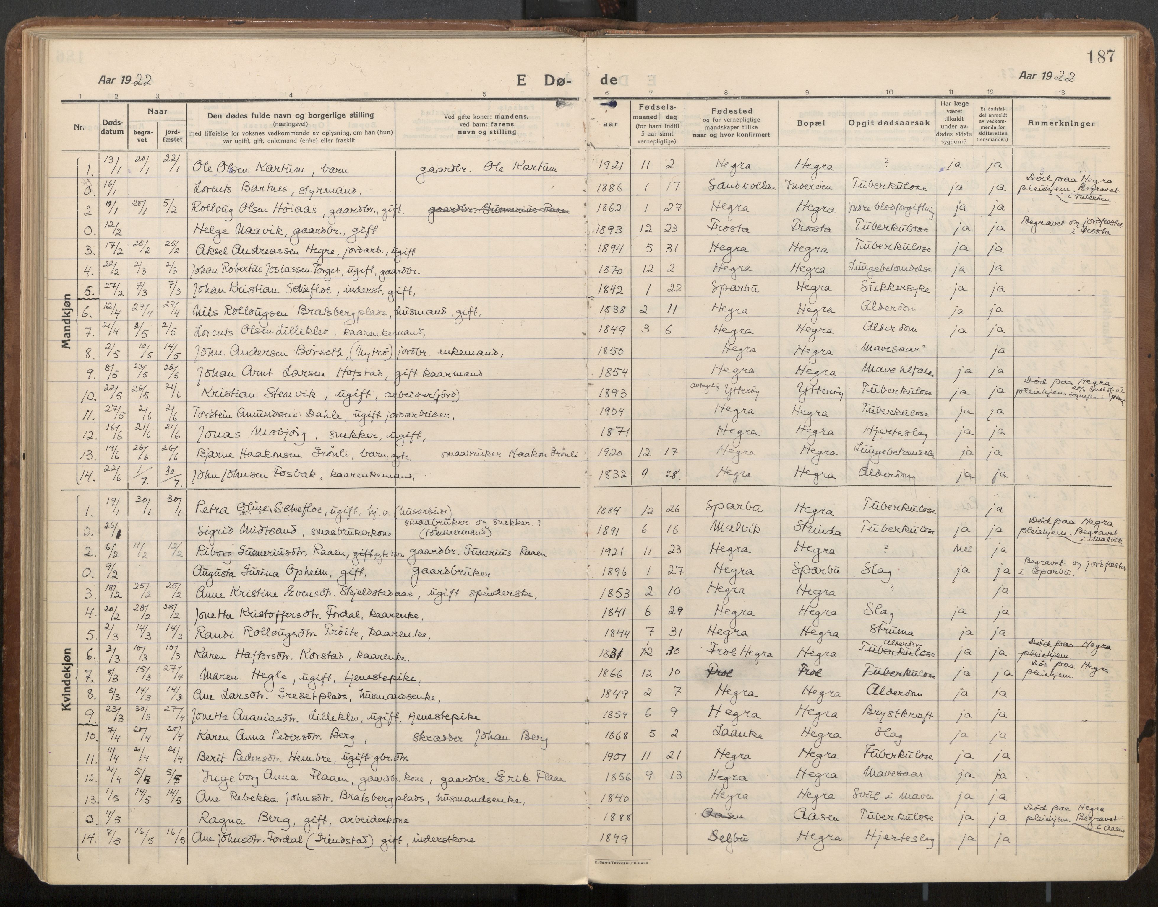 Ministerialprotokoller, klokkerbøker og fødselsregistre - Nord-Trøndelag, AV/SAT-A-1458/703/L0037: Parish register (official) no. 703A10, 1915-1932, p. 187