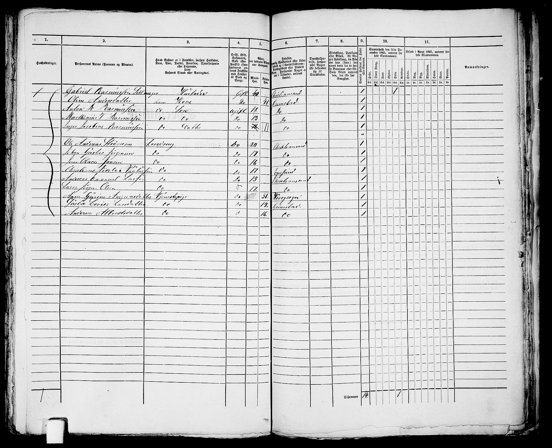 RA, 1865 census for Fjære/Grimstad, 1865, p. 371