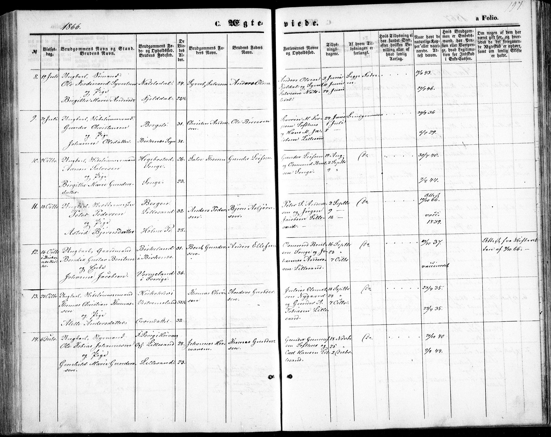 Vestre Moland sokneprestkontor, AV/SAK-1111-0046/F/Fb/Fbb/L0004: Parish register (copy) no. B 4, 1861-1872, p. 197