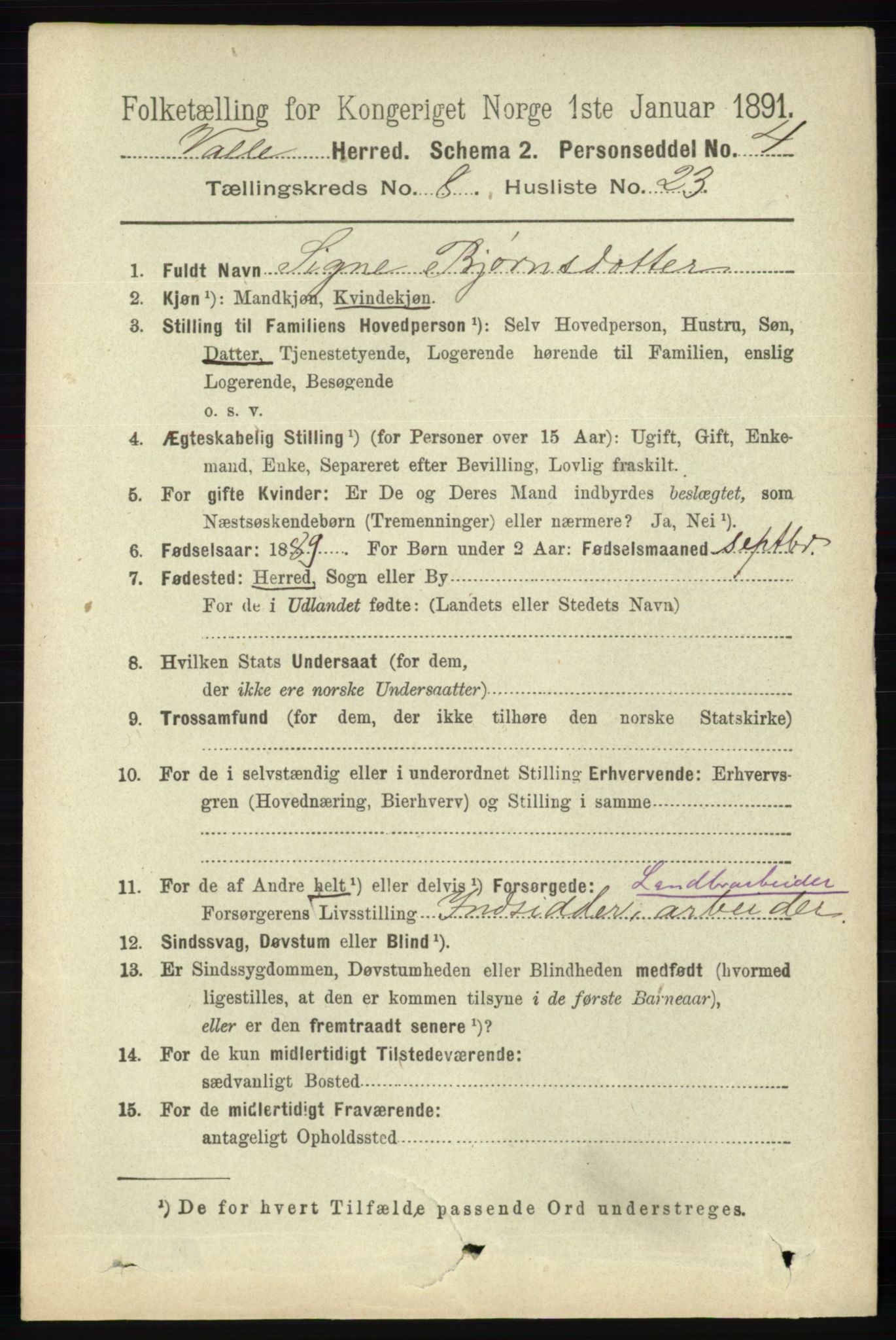 RA, 1891 census for 0940 Valle, 1891, p. 2383