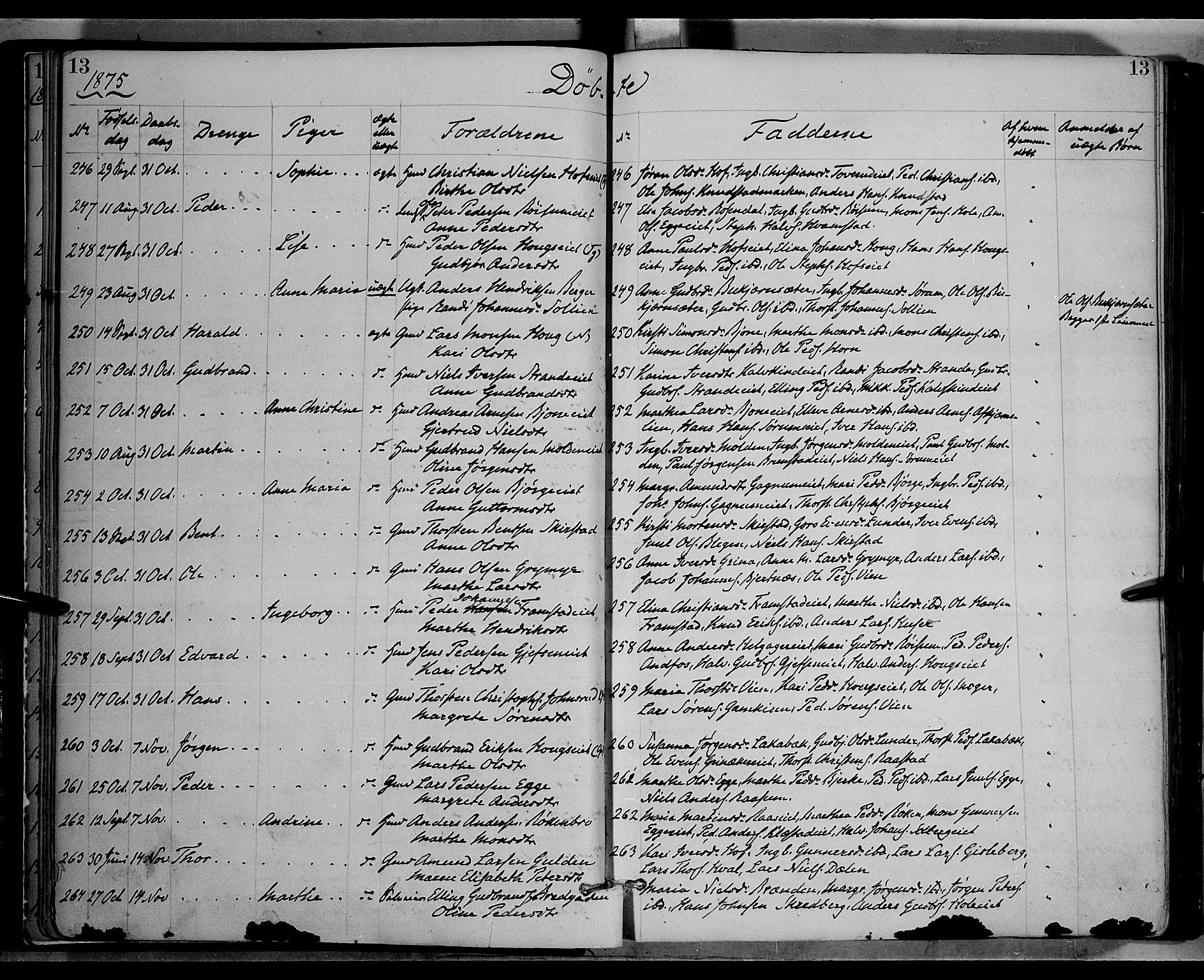 Gran prestekontor, AV/SAH-PREST-112/H/Ha/Haa/L0013: Parish register (official) no. 13, 1875-1879, p. 13