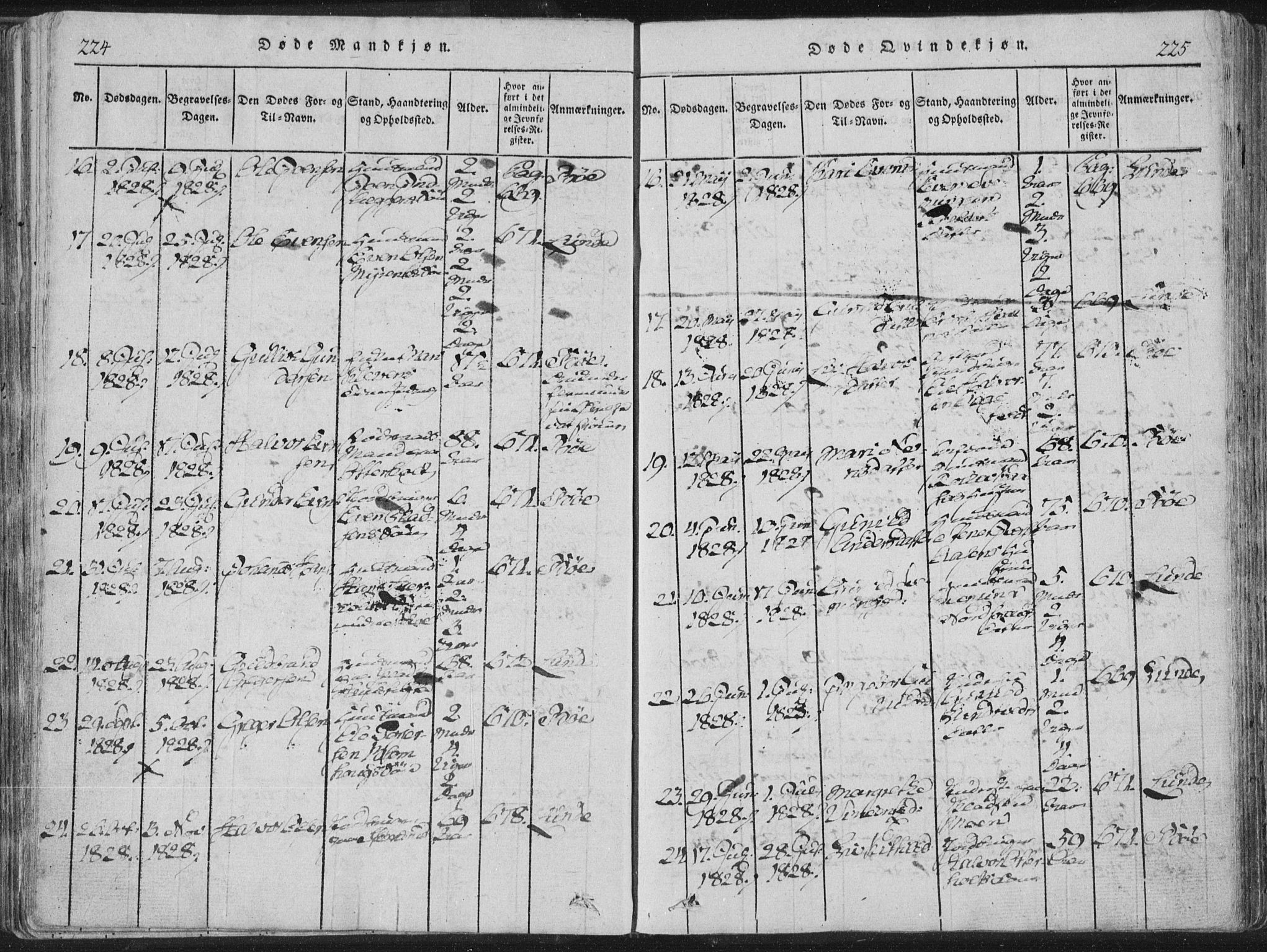 Bø kirkebøker, SAKO/A-257/F/Fa/L0006: Parish register (official) no. 6, 1815-1831, p. 224-225