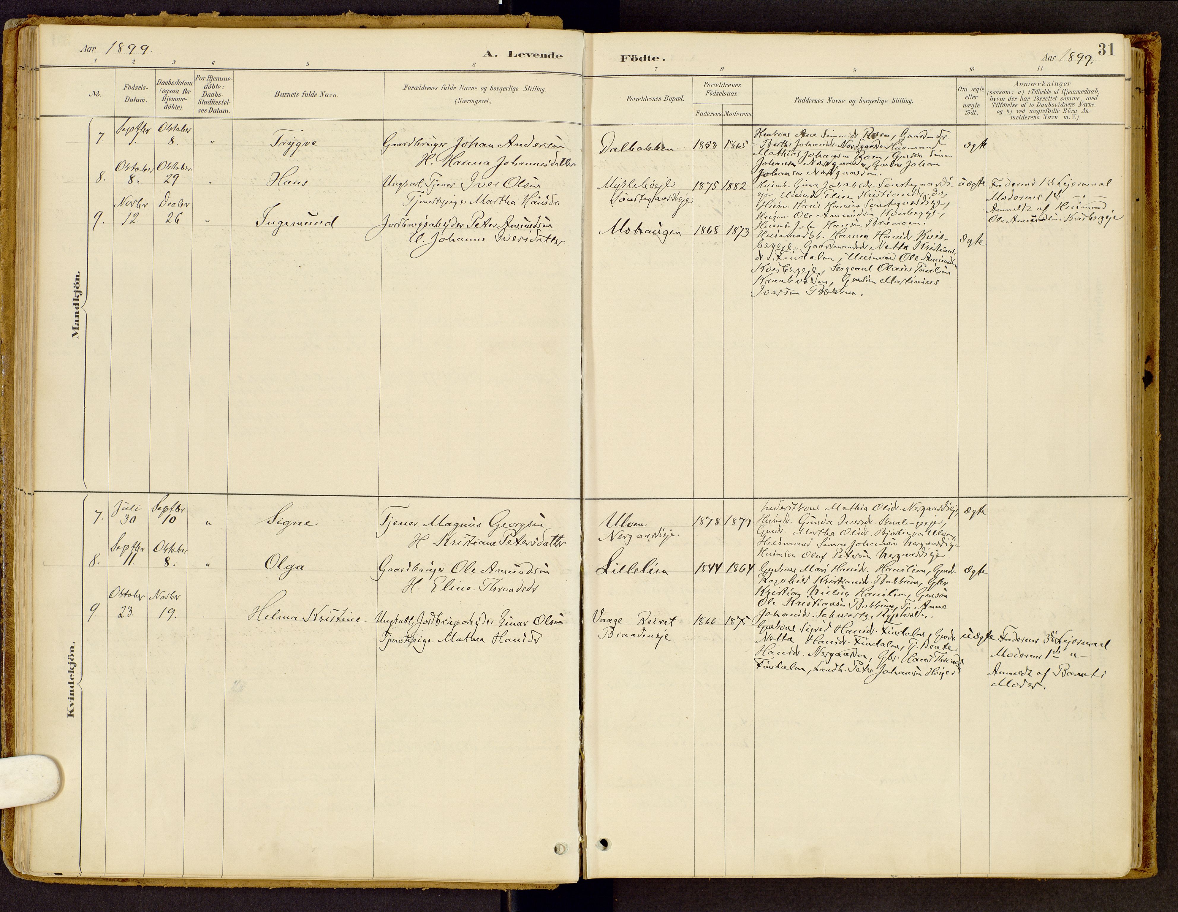 Vestre Gausdal prestekontor, SAH/PREST-094/H/Ha/Haa/L0002: Parish register (official) no. 2, 1887-1918, p. 31