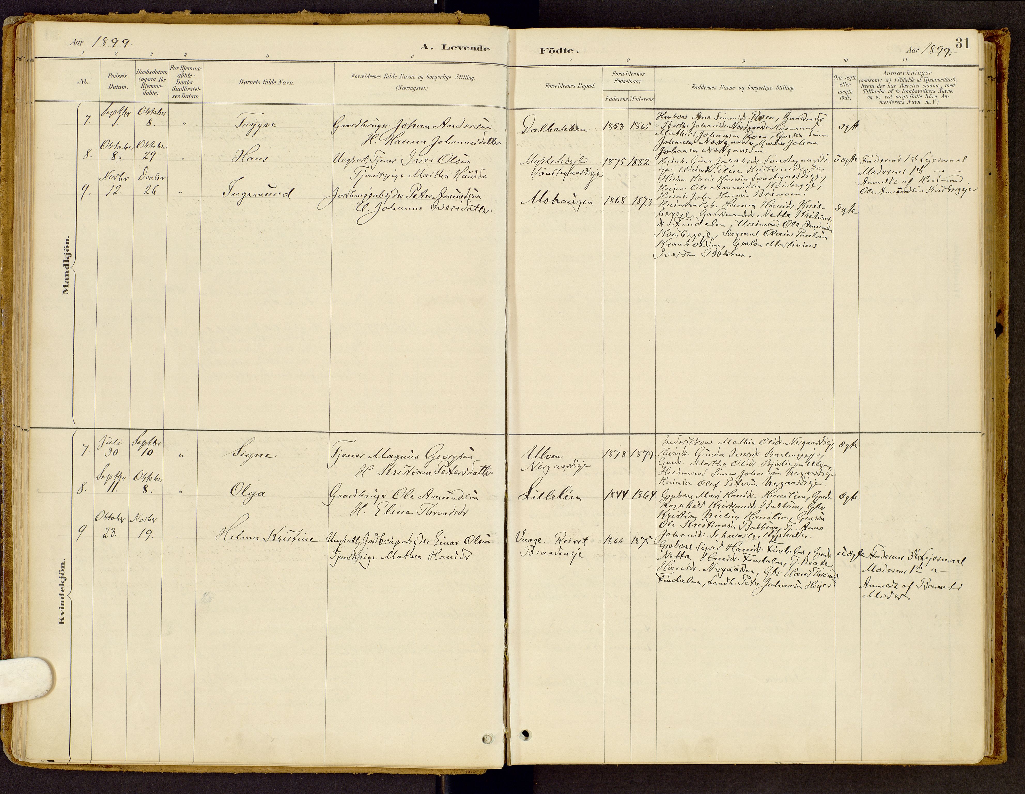 Vestre Gausdal prestekontor, AV/SAH-PREST-094/H/Ha/Haa/L0002: Parish register (official) no. 2, 1887-1918, p. 31