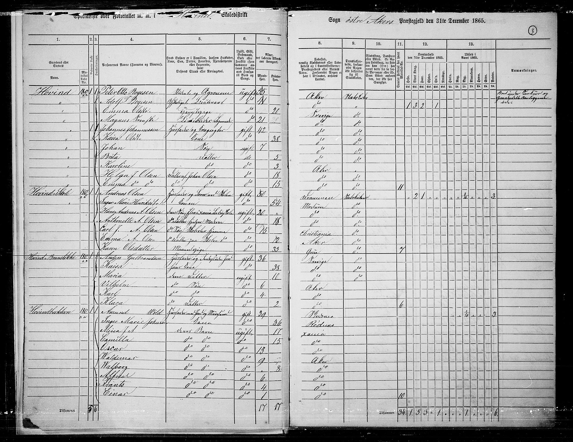 RA, 1865 census for Østre Aker, 1865, p. 227