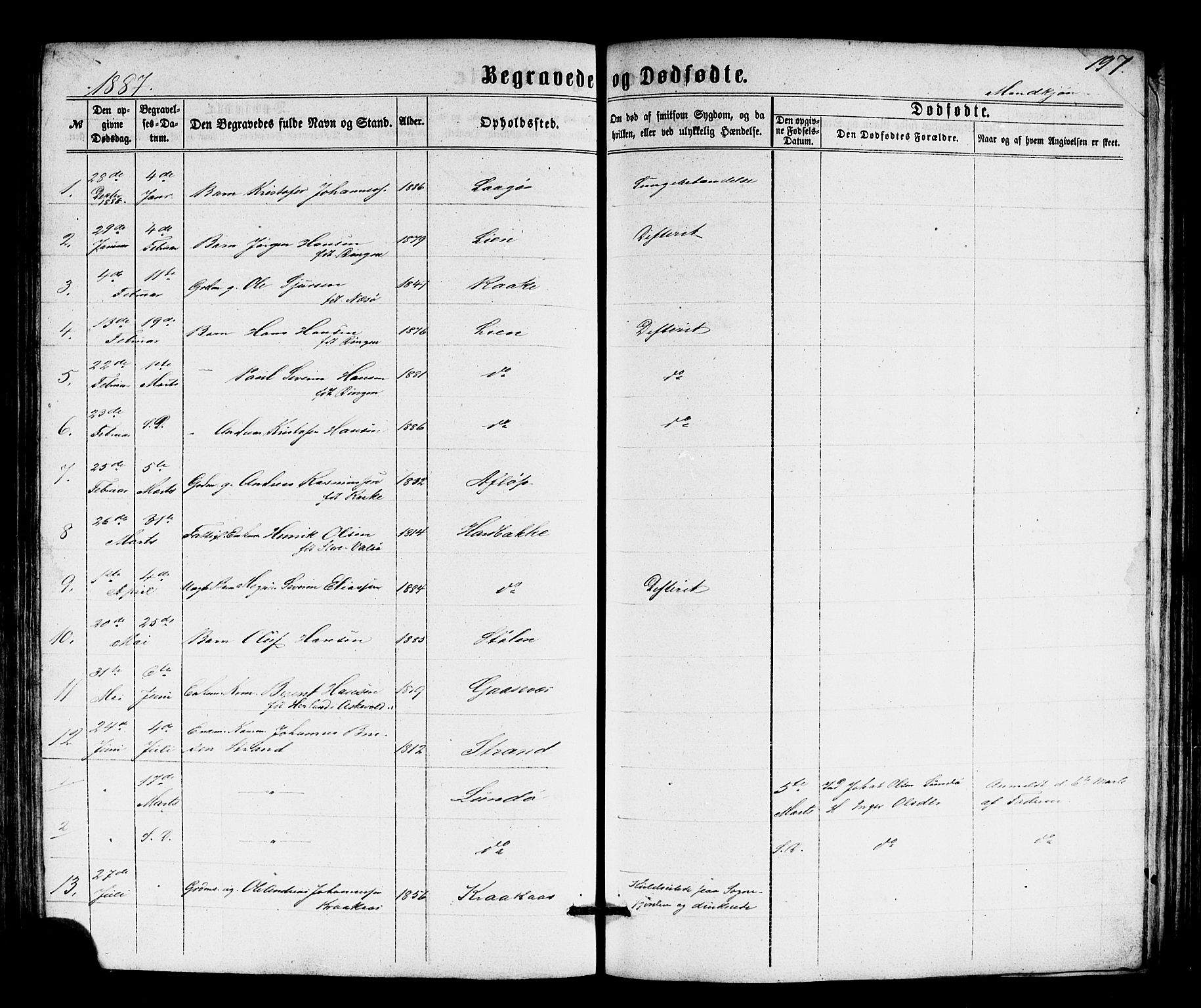 Solund sokneprestembete, SAB/A-81401: Parish register (copy) no. A 1, 1860-1893, p. 197