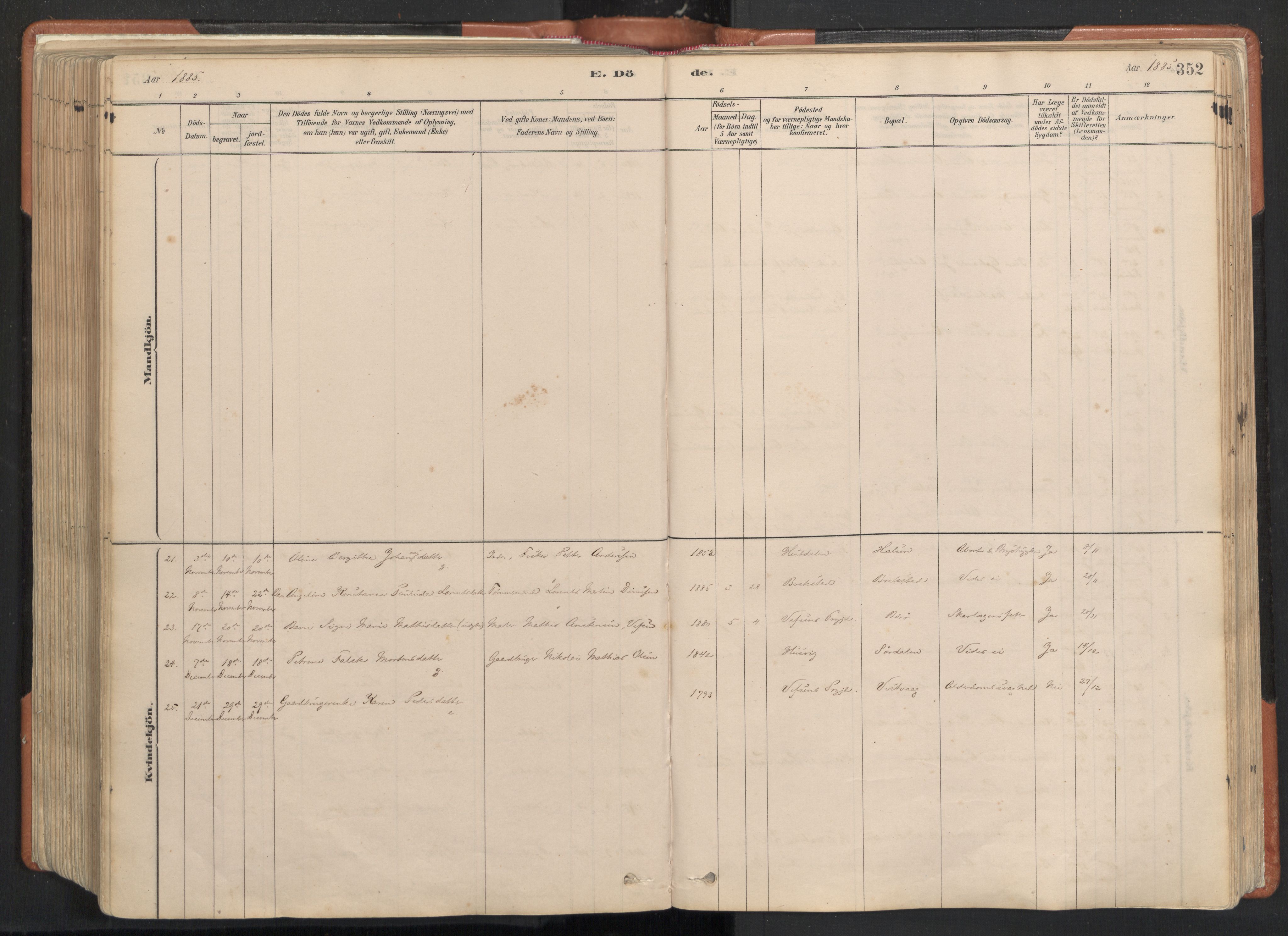 Ministerialprotokoller, klokkerbøker og fødselsregistre - Nordland, AV/SAT-A-1459/817/L0264: Parish register (official) no. 817A04, 1878-1907, p. 352