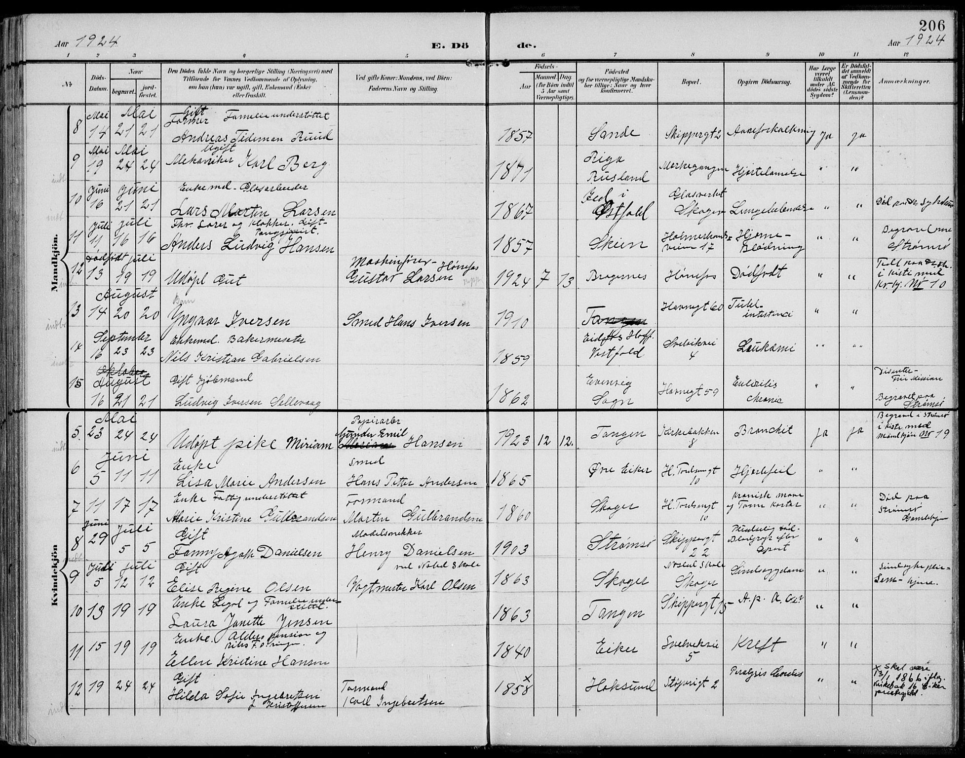 Strømsø kirkebøker, AV/SAKO-A-246/F/Fb/L0008: Parish register (official) no. II 8, 1902-1933, p. 206