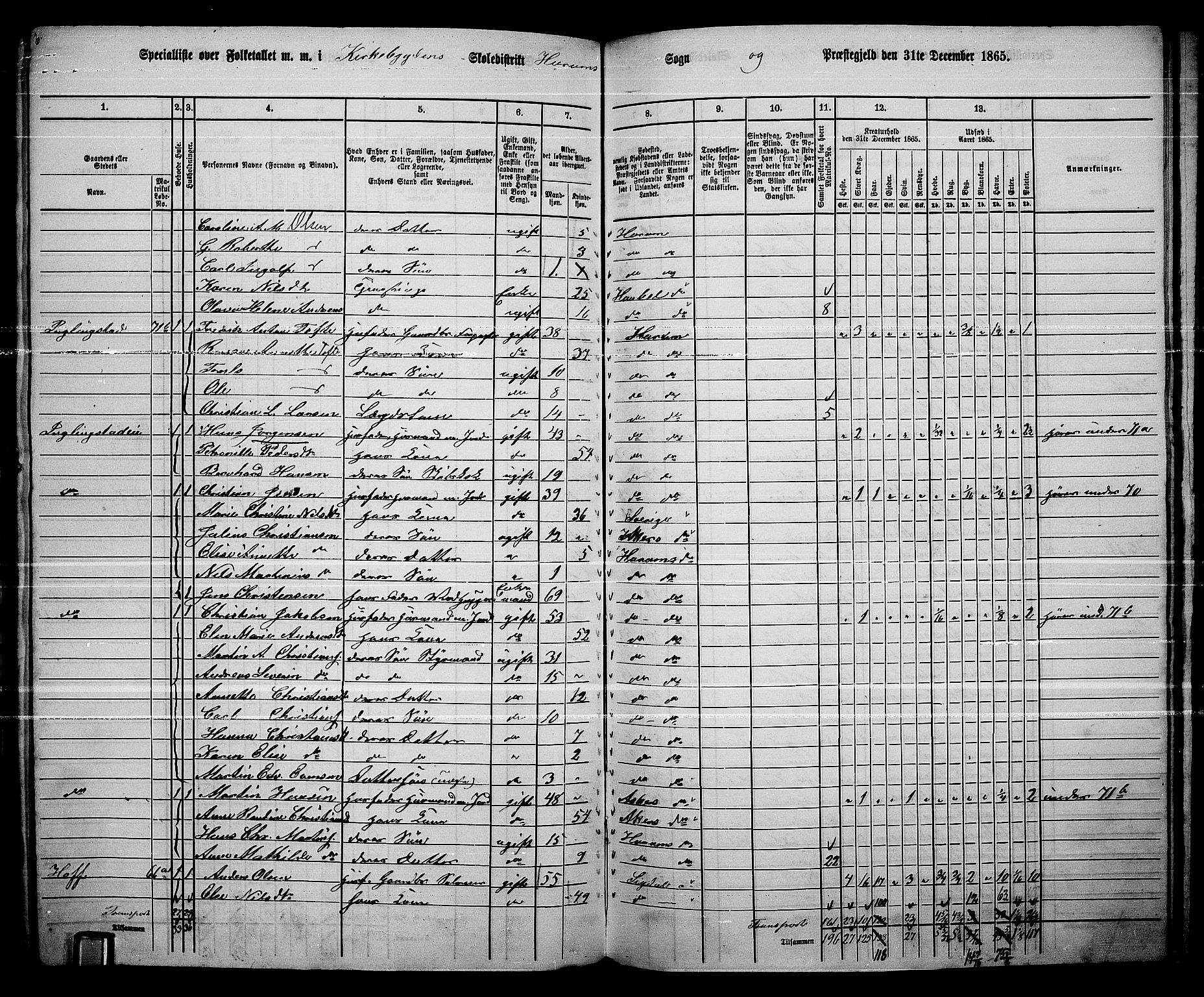 RA, 1865 census for Hurum, 1865, p. 11