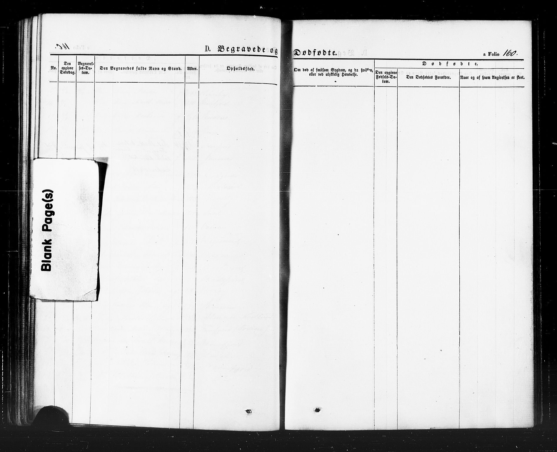 Hammerfest sokneprestkontor, AV/SATØ-S-1347/H/Ha/L0007.kirke: Parish register (official) no. 7, 1869-1884, p. 160