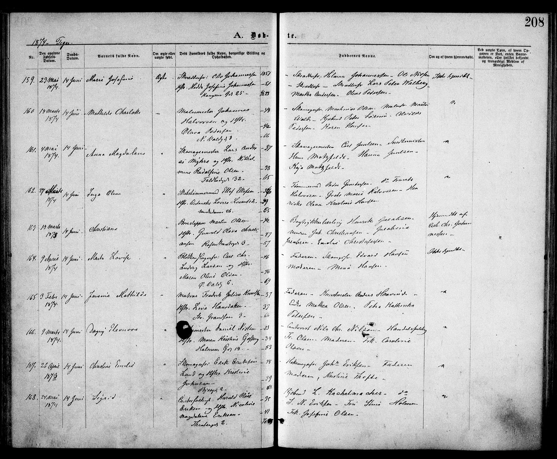 Trefoldighet prestekontor Kirkebøker, SAO/A-10882/F/Fa/L0003: Parish register (official) no. I 3, 1870-1876, p. 208