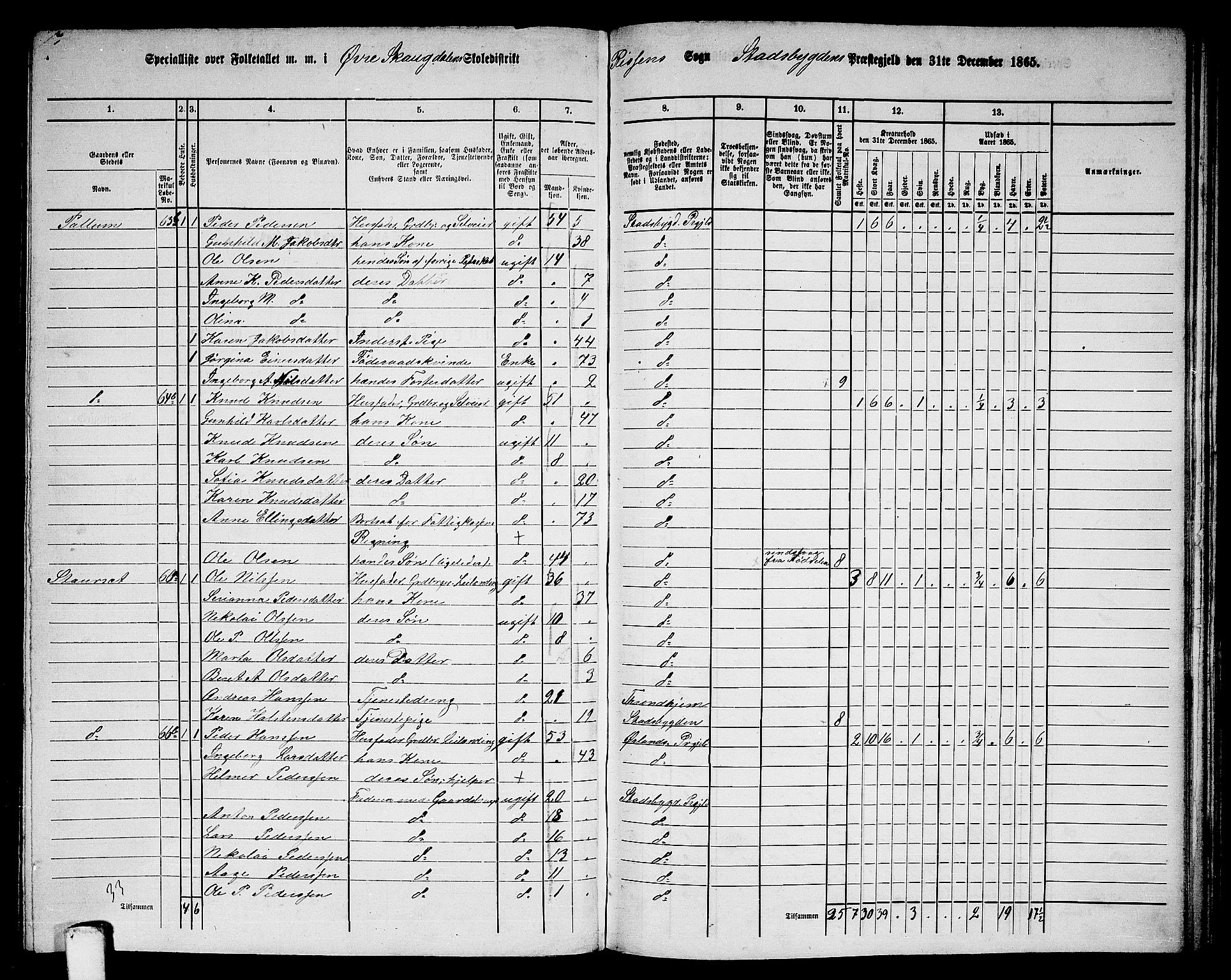 RA, 1865 census for Stadsbygd, 1865, p. 157