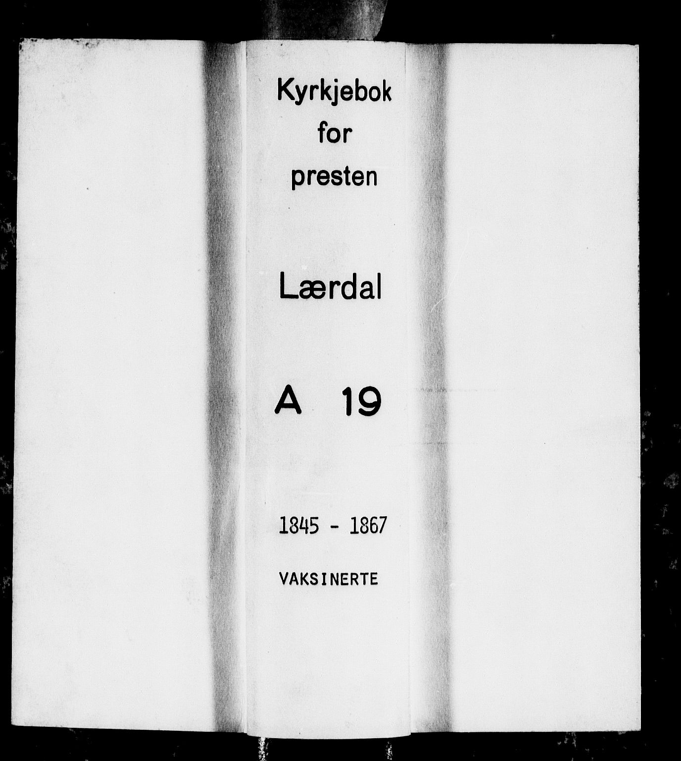 Lærdal sokneprestembete, AV/SAB-A-81201: Parish register (official) no. A 19, 1845-1867