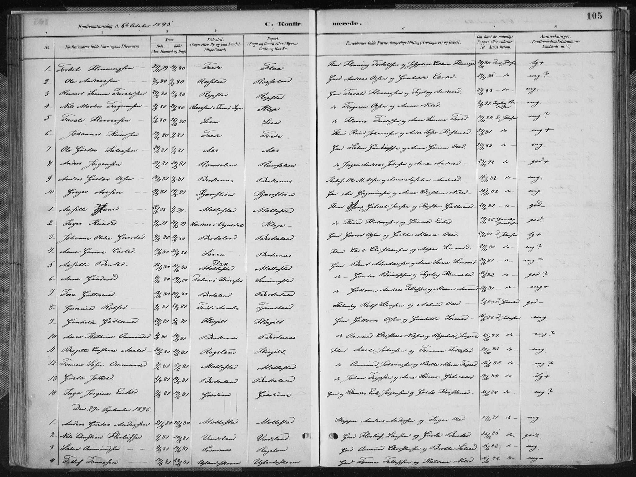 Birkenes sokneprestkontor, SAK/1111-0004/F/Fa/L0005: Parish register (official) no. A 5, 1887-1907, p. 105