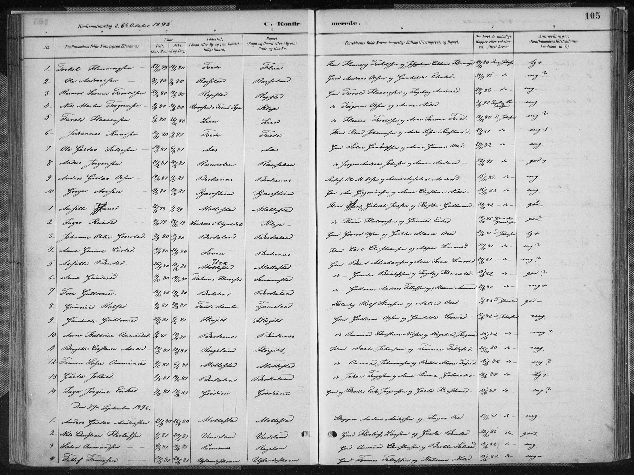 Birkenes sokneprestkontor, AV/SAK-1111-0004/F/Fa/L0005: Parish register (official) no. A 5, 1887-1907, p. 105