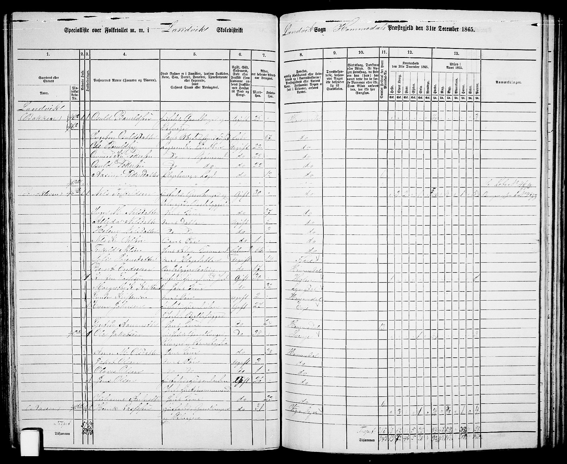 RA, 1865 census for Homedal, 1865, p. 88