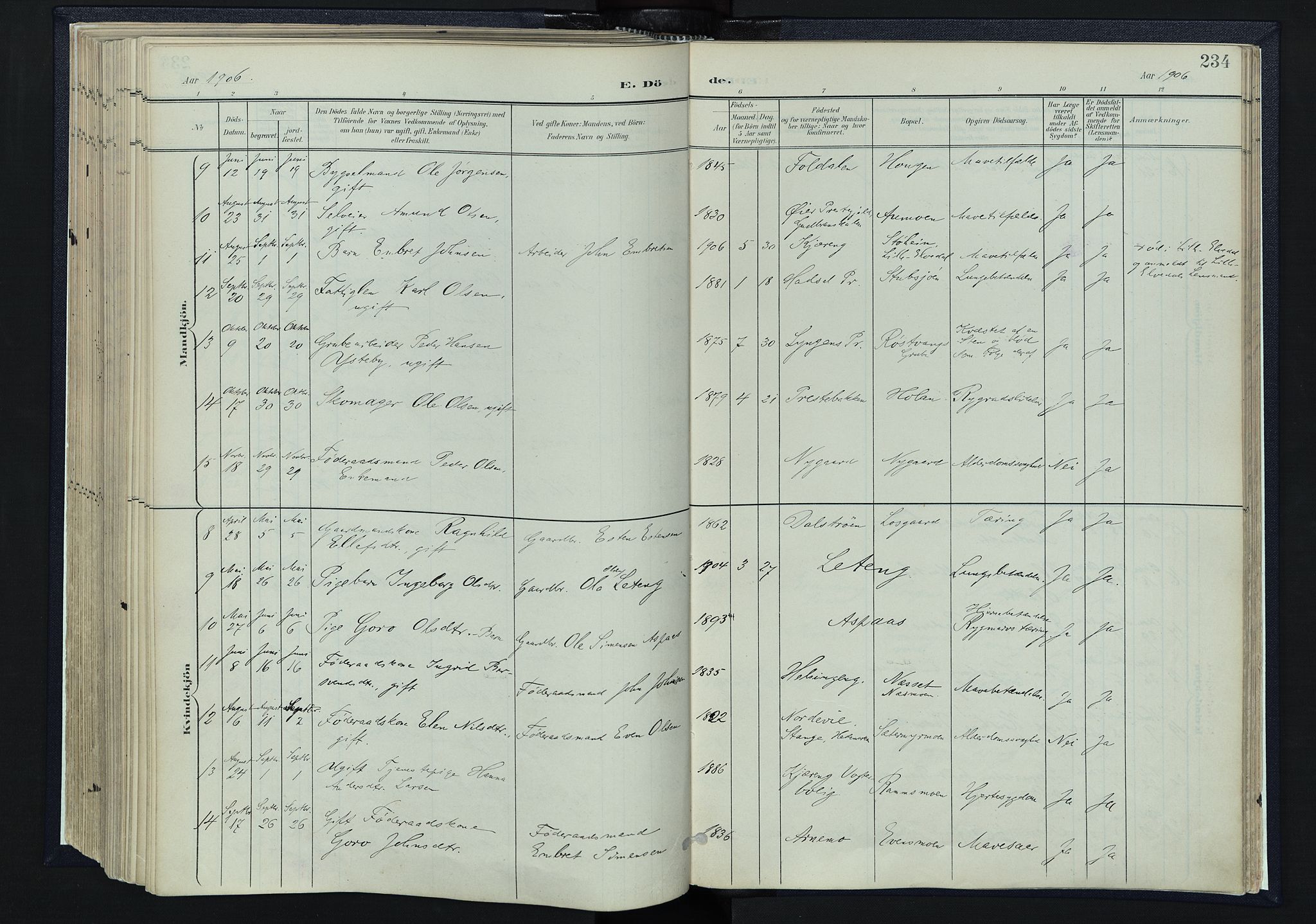 Tynset prestekontor, SAH/PREST-058/H/Ha/Haa/L0025: Parish register (official) no. 25, 1900-1914, p. 234