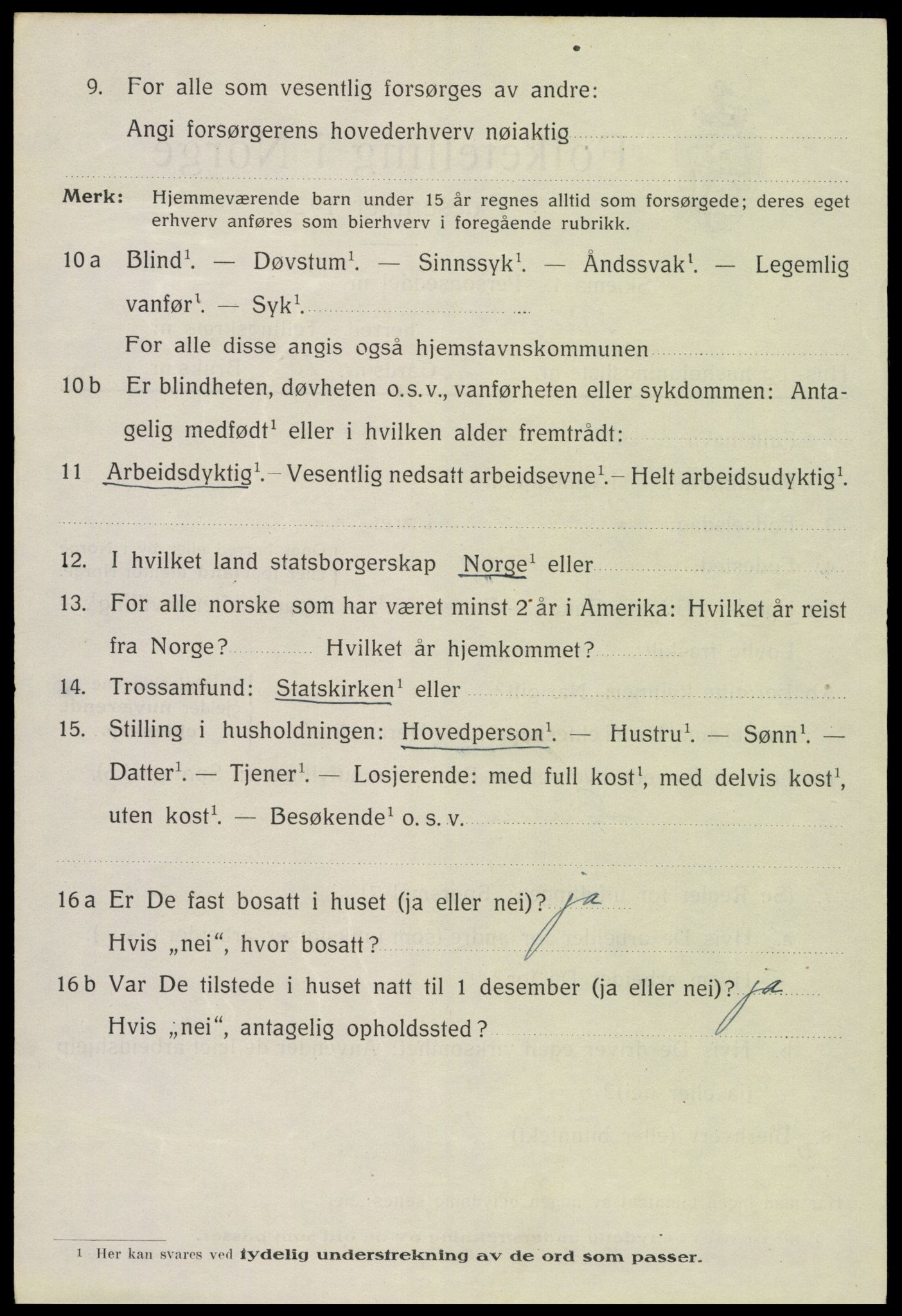 SAH, 1920 census for Vang (Hedmark), 1920, p. 17438