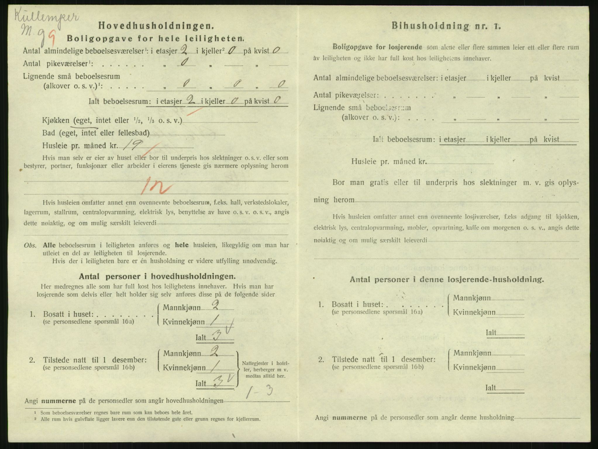 SAKO, 1920 census for Hønefoss, 1920, p. 2259