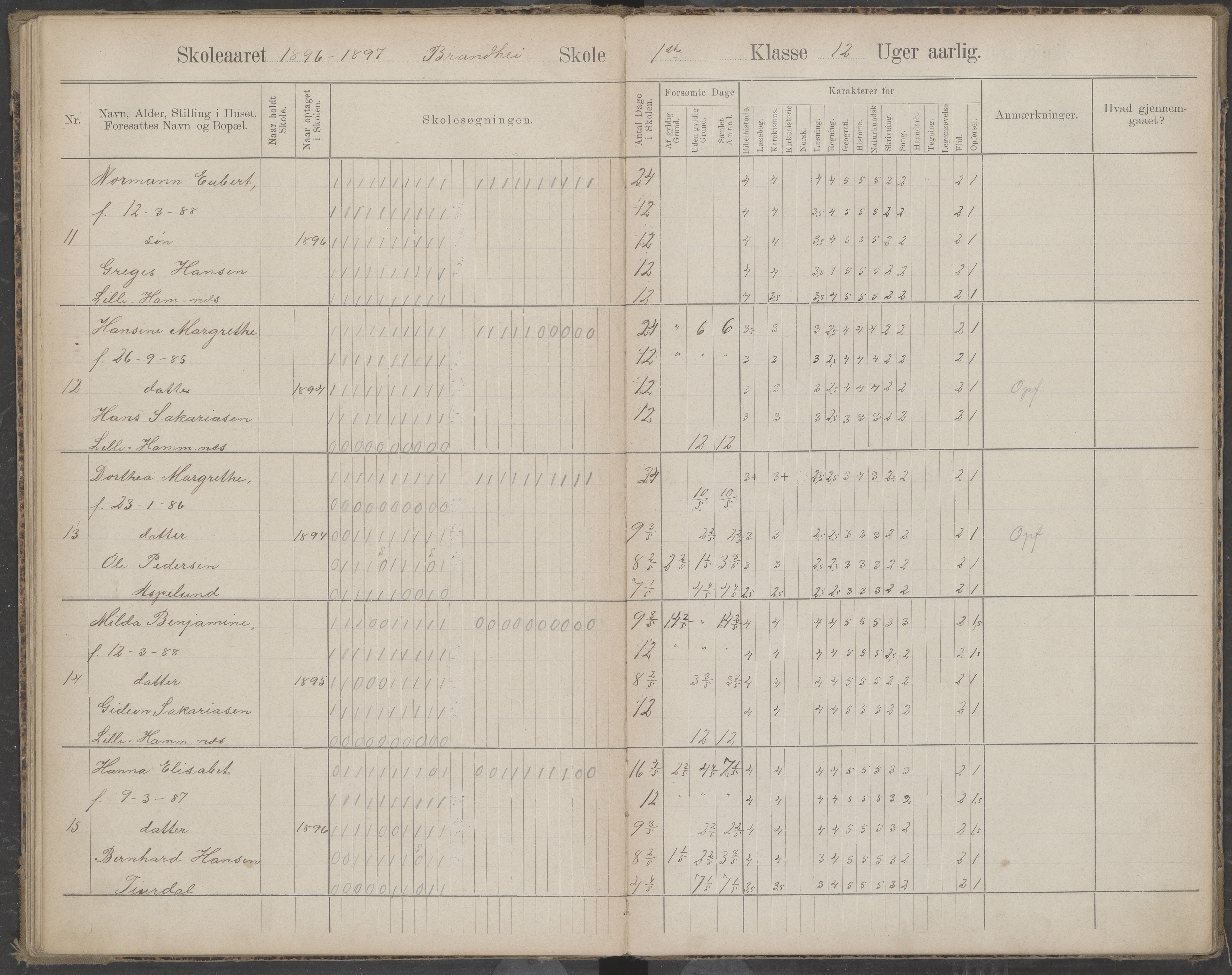 Beiarn kommune. Brandhei skolekrets, AIN/K-18390.510.03/442/L0003: Karakter/oversiktsprotokoll, 1893-1910