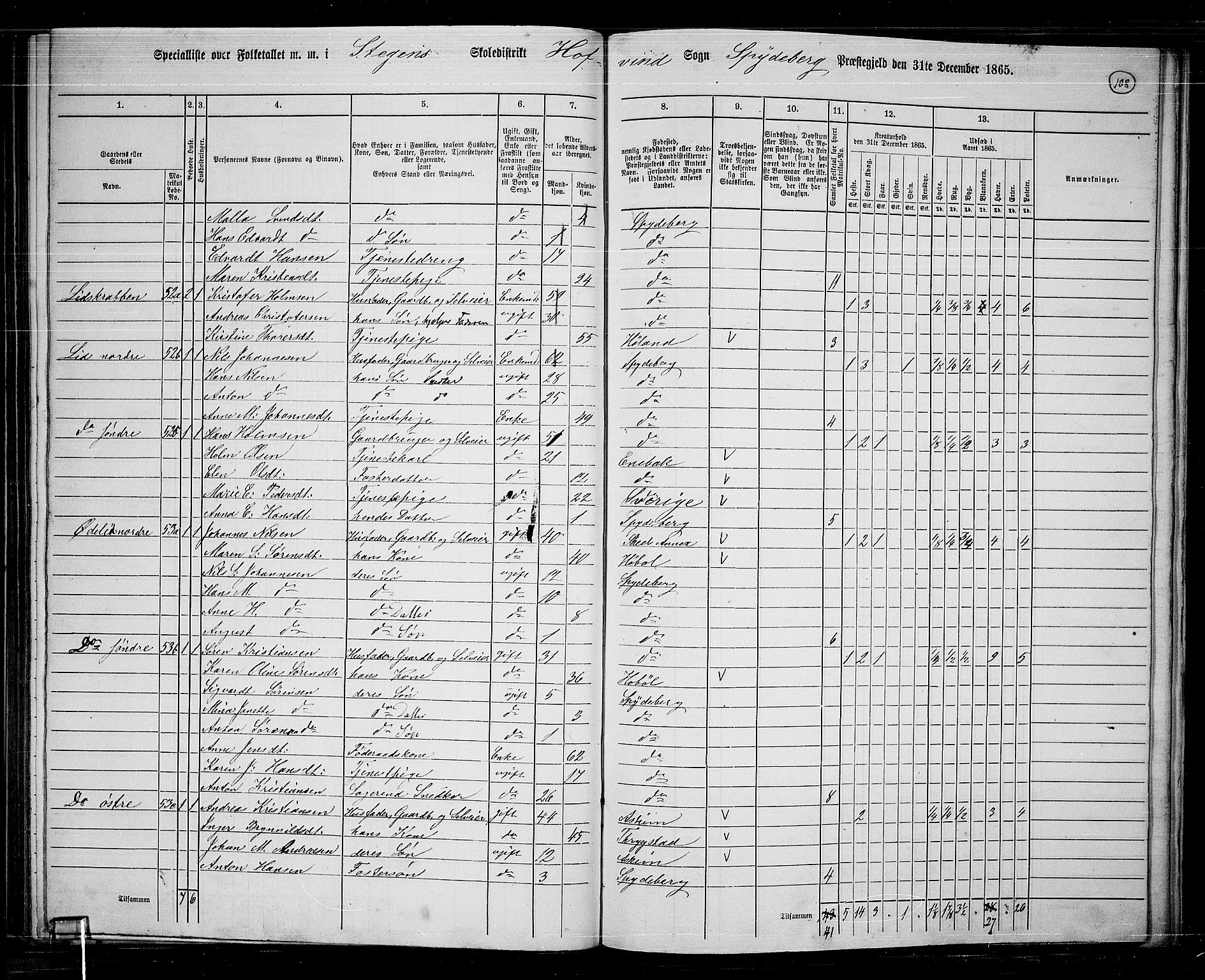 RA, 1865 census for Spydeberg, 1865, p. 96