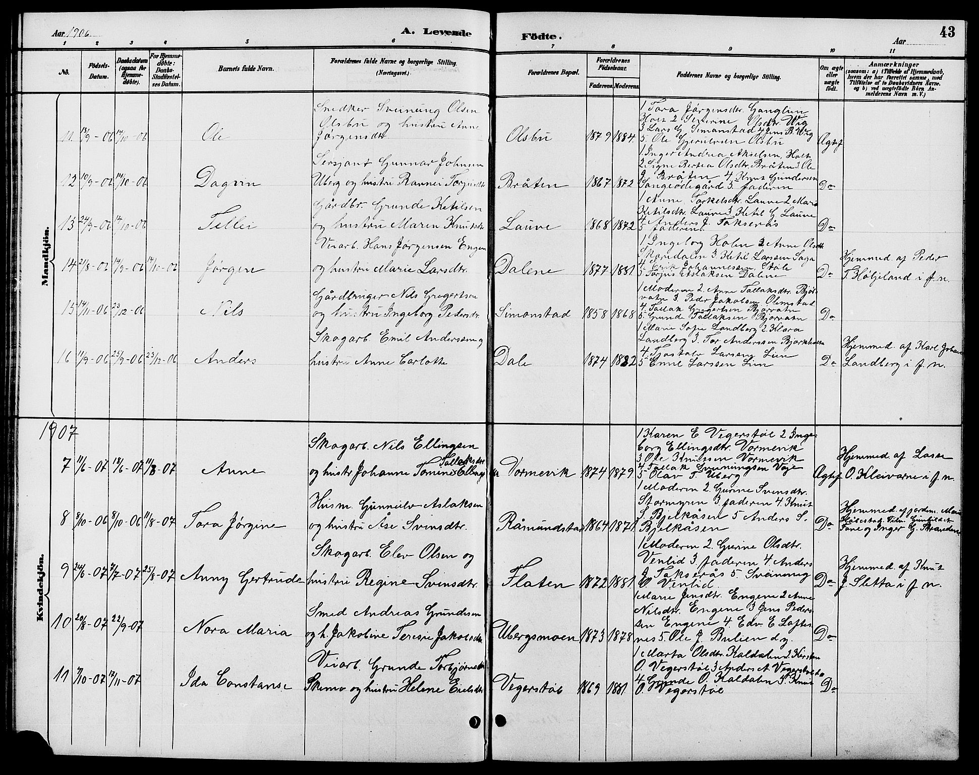 Gjerstad sokneprestkontor, AV/SAK-1111-0014/F/Fb/Fbb/L0004: Parish register (copy) no. B 4, 1890-1910, p. 43