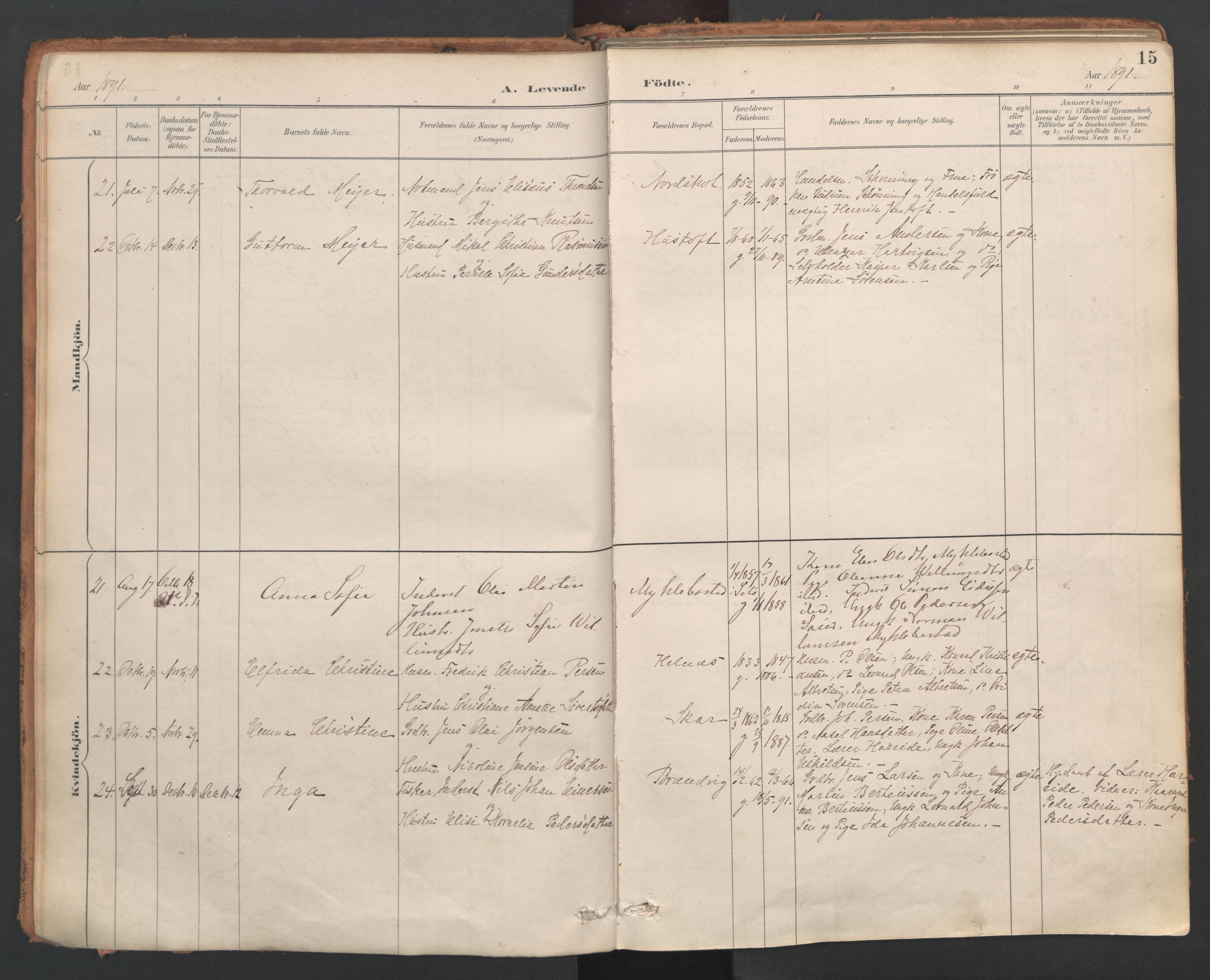 Ministerialprotokoller, klokkerbøker og fødselsregistre - Nordland, AV/SAT-A-1459/857/L0822: Parish register (official) no. 857A02, 1890-1917, p. 15