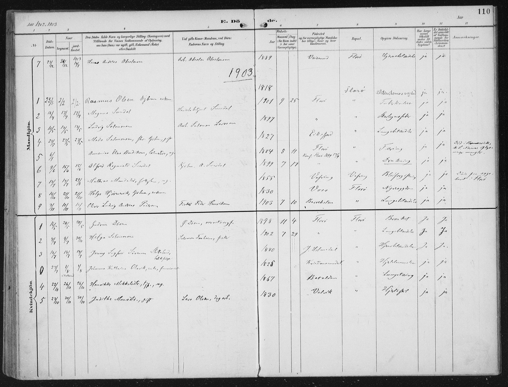 Kinn sokneprestembete, SAB/A-80801/H/Haa/Haac/L0002: Parish register (official) no. C 2, 1895-1916, p. 110