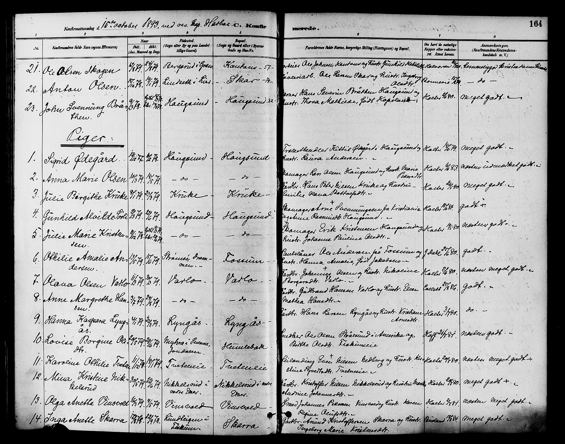 Eiker kirkebøker, AV/SAKO-A-4/F/Fb/L0002: Parish register (official) no. II 2, 1889-1896, p. 164