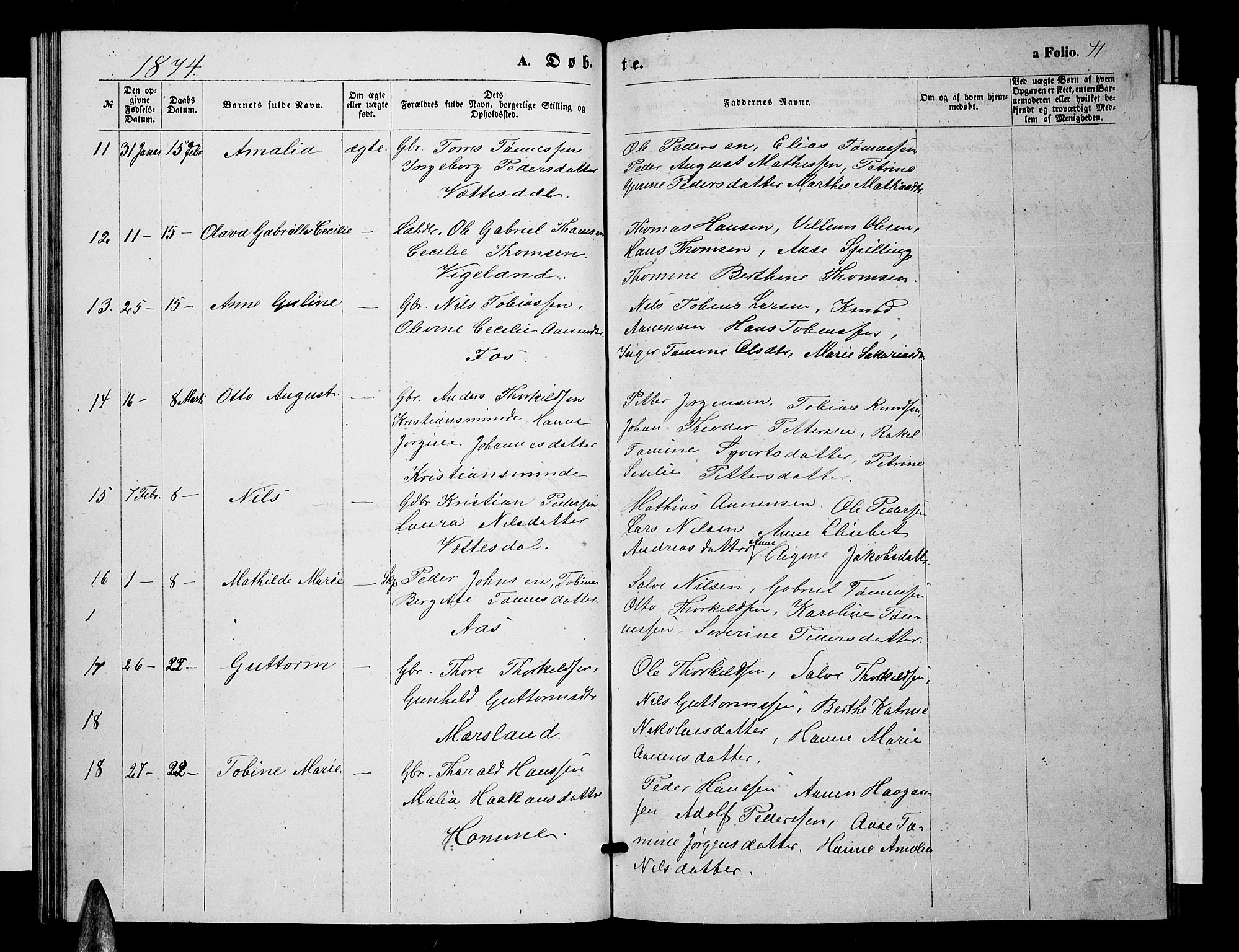 Sør-Audnedal sokneprestkontor, AV/SAK-1111-0039/F/Fb/Fbb/L0004: Parish register (copy) no. B 4, 1868-1879, p. 41
