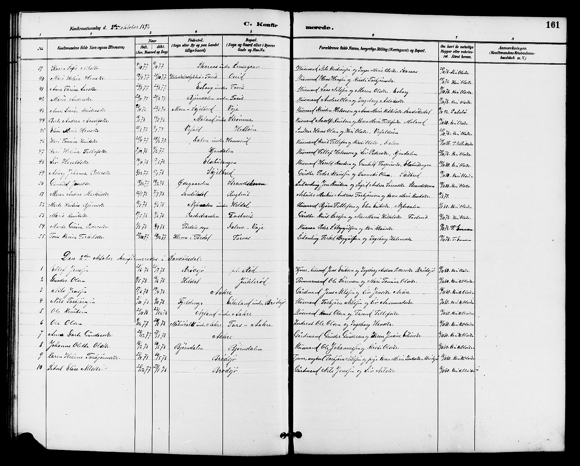 Drangedal kirkebøker, SAKO/A-258/G/Ga/L0003: Parish register (copy) no. I 3, 1887-1906, p. 161