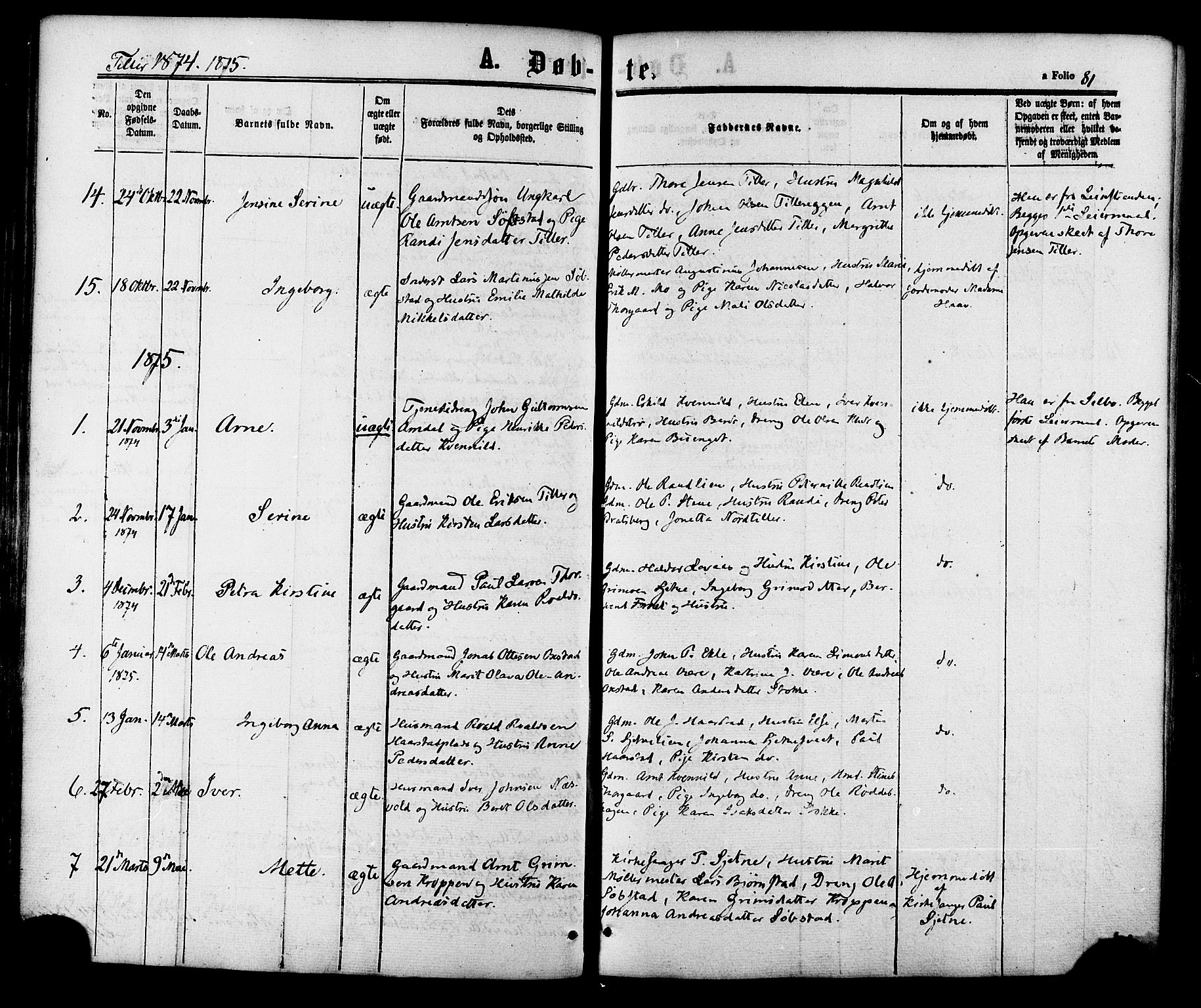 Ministerialprotokoller, klokkerbøker og fødselsregistre - Sør-Trøndelag, SAT/A-1456/618/L0443: Parish register (official) no. 618A06 /2, 1863-1879, p. 81