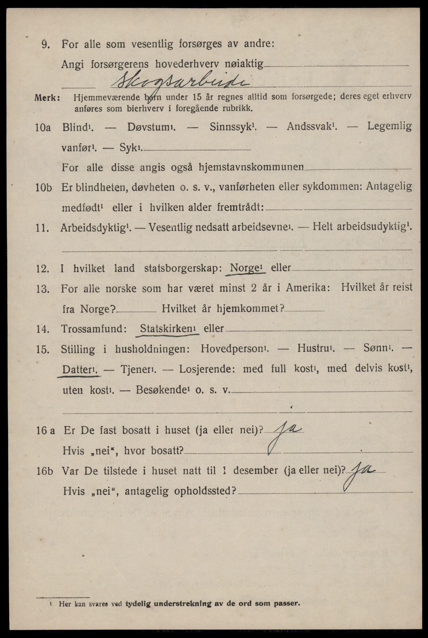 SAKO, 1920 census for Nissedal, 1920, p. 1854