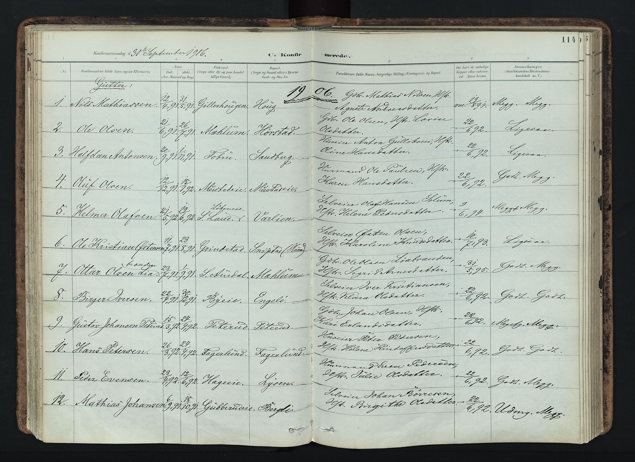 Vardal prestekontor, AV/SAH-PREST-100/H/Ha/Haa/L0019: Parish register (official) no. 19, 1893-1907, p. 114