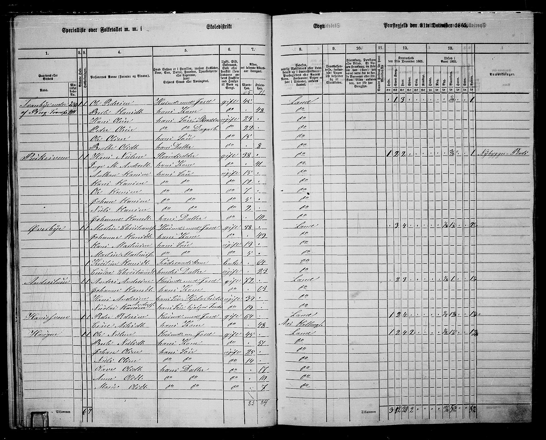 RA, 1865 census for Land, 1865, p. 235