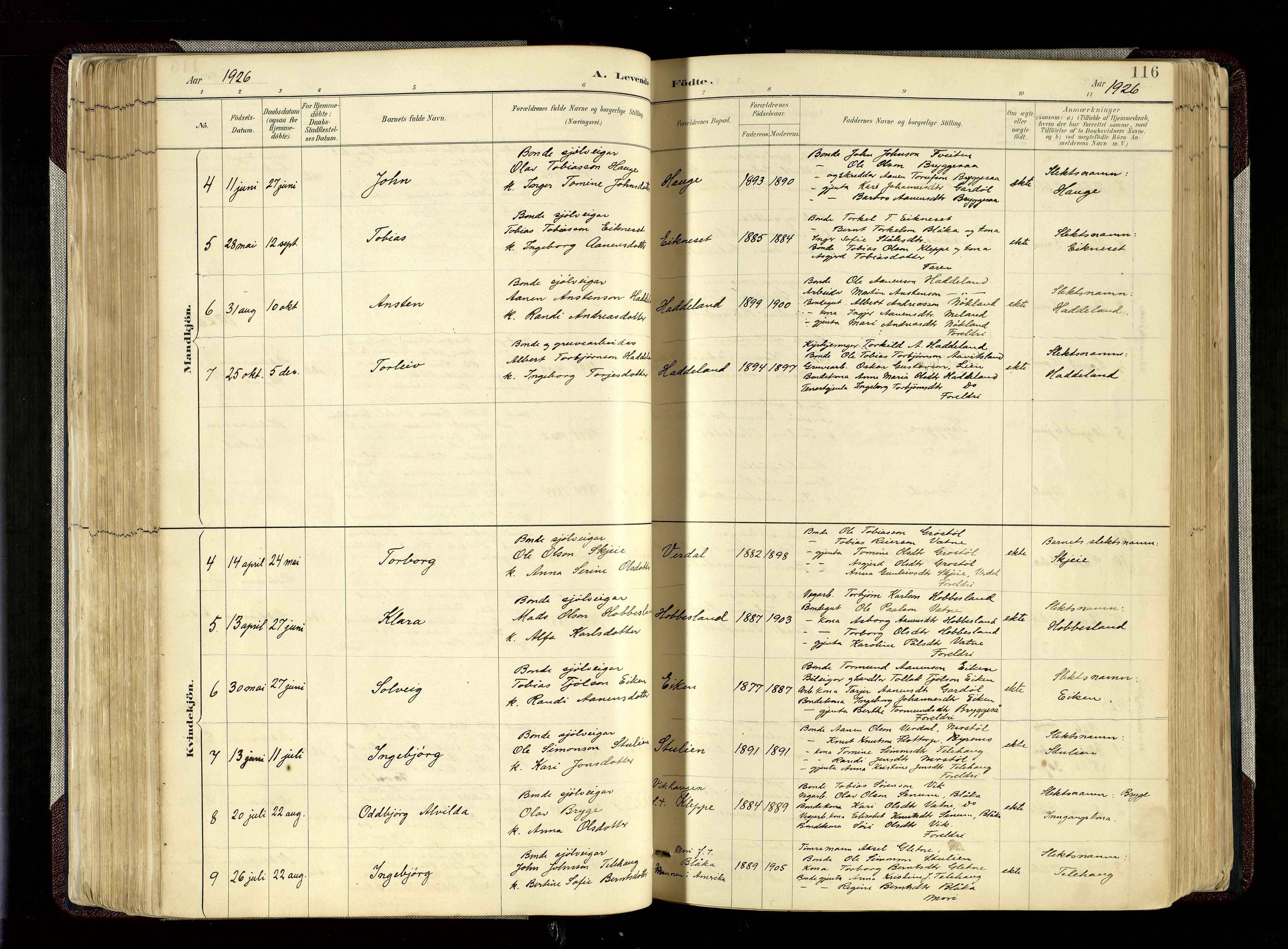 Hægebostad sokneprestkontor, SAK/1111-0024/F/Fa/Fab/L0004: Parish register (official) no. A 4, 1887-1929, p. 116