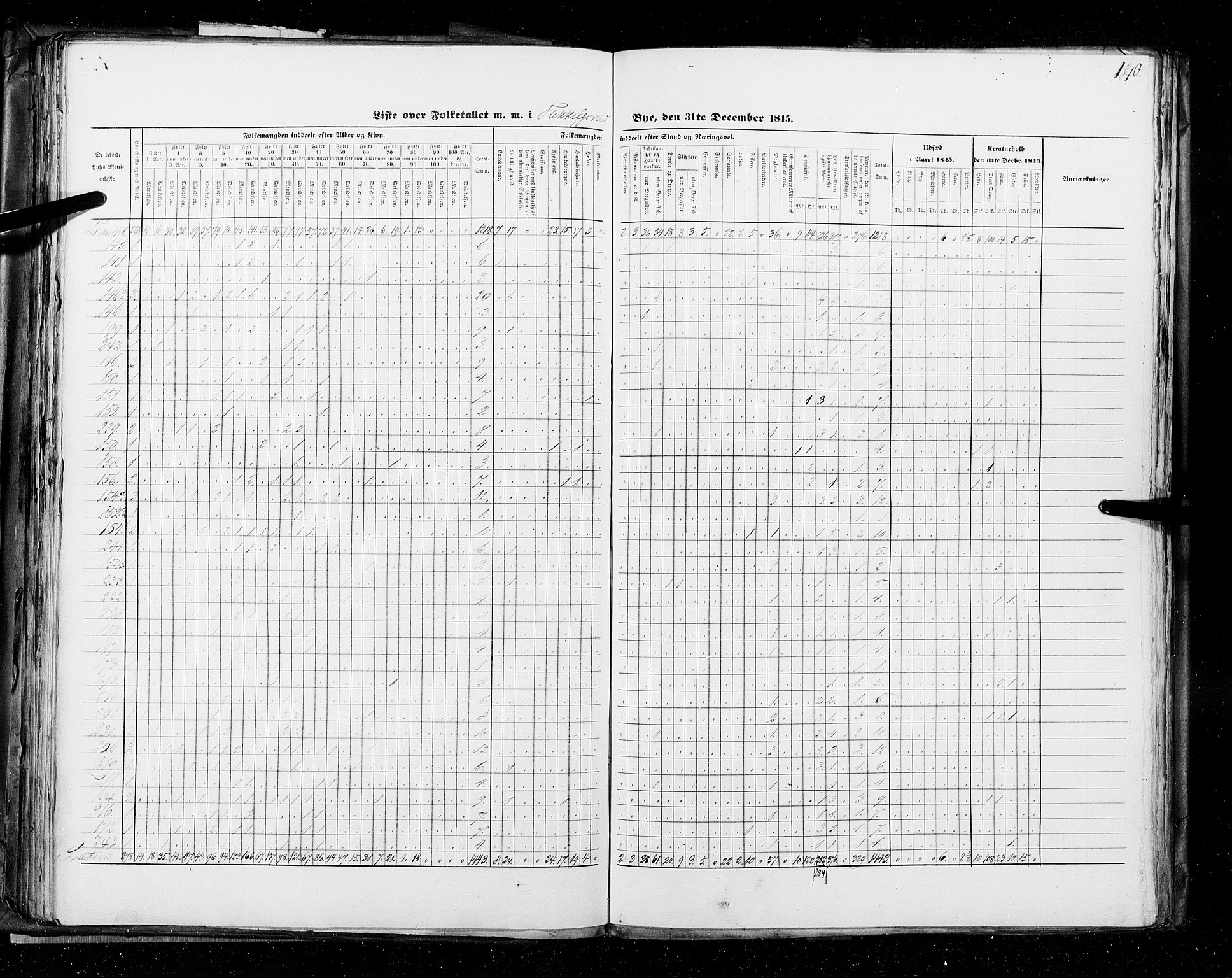 RA, Census 1845, vol. 11: Cities, 1845, p. 120