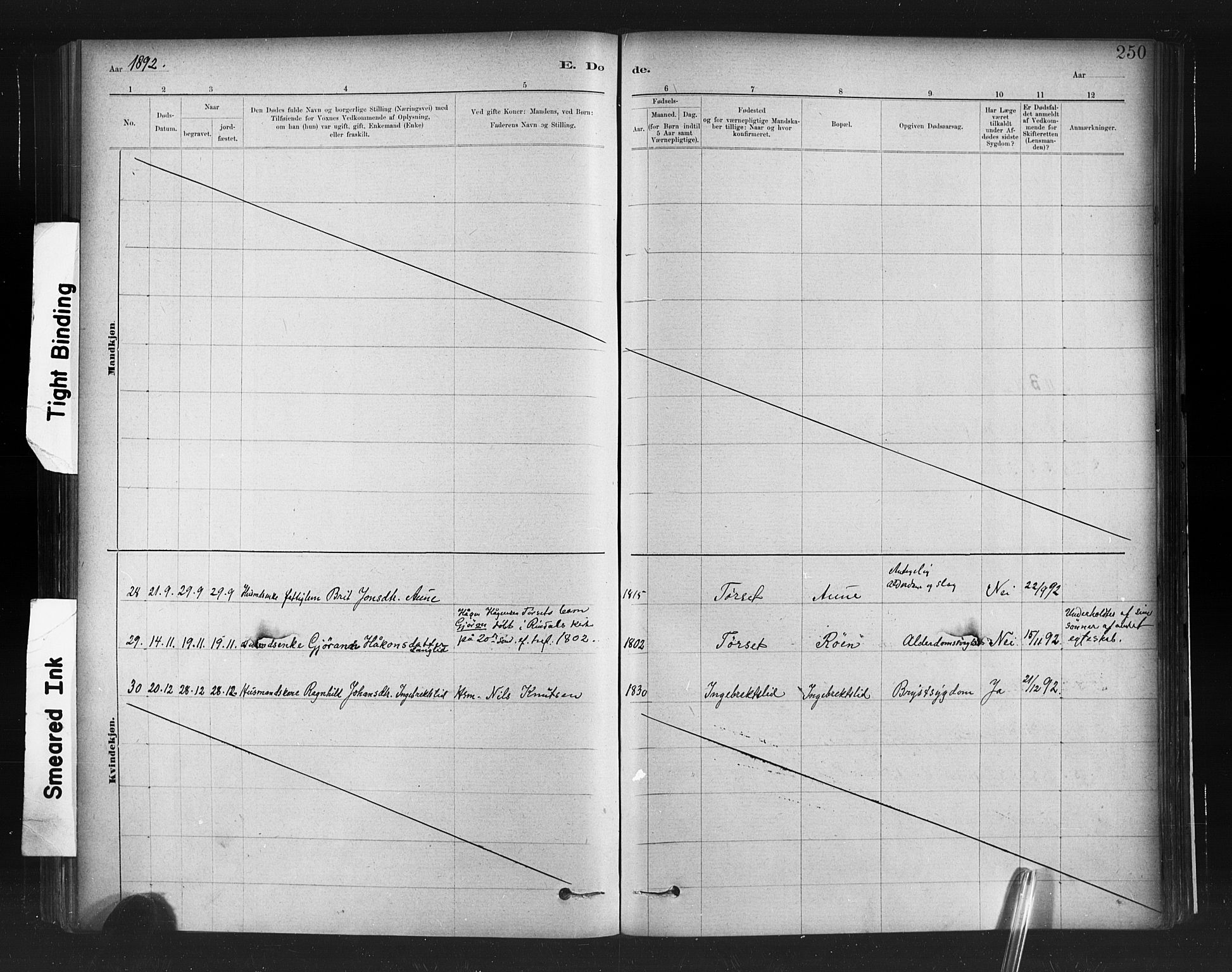 Ministerialprotokoller, klokkerbøker og fødselsregistre - Møre og Romsdal, AV/SAT-A-1454/598/L1069: Parish register (official) no. 598A03, 1882-1895, p. 250