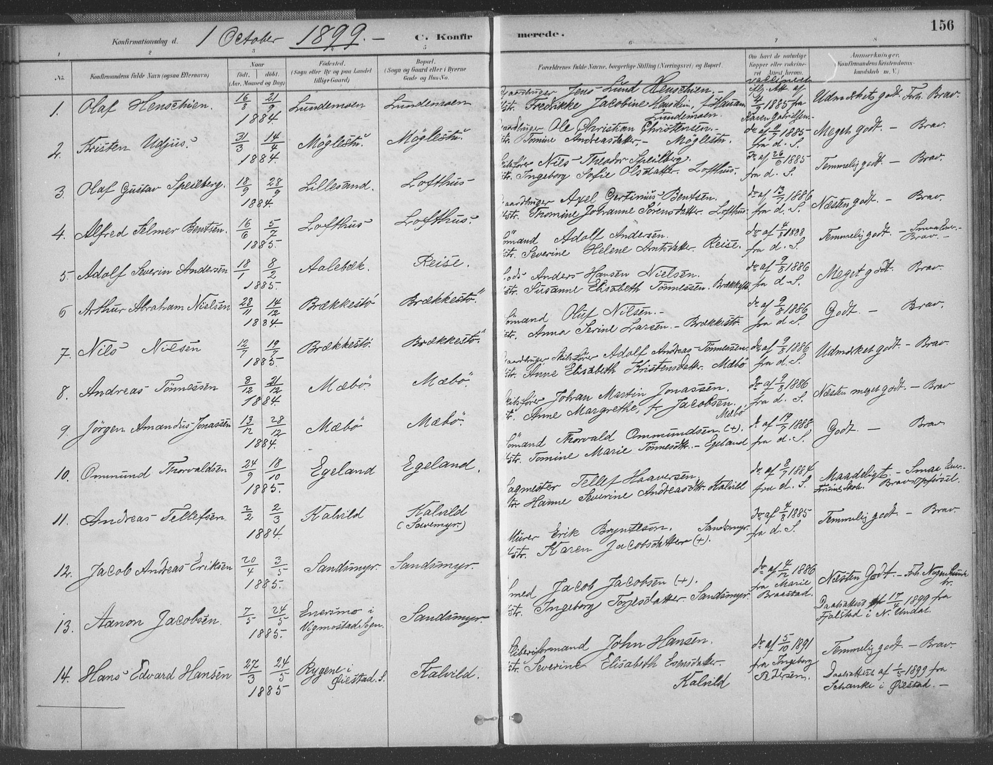 Vestre Moland sokneprestkontor, AV/SAK-1111-0046/F/Fa/Fab/L0009: Parish register (official) no. A 9, 1884-1899, p. 156