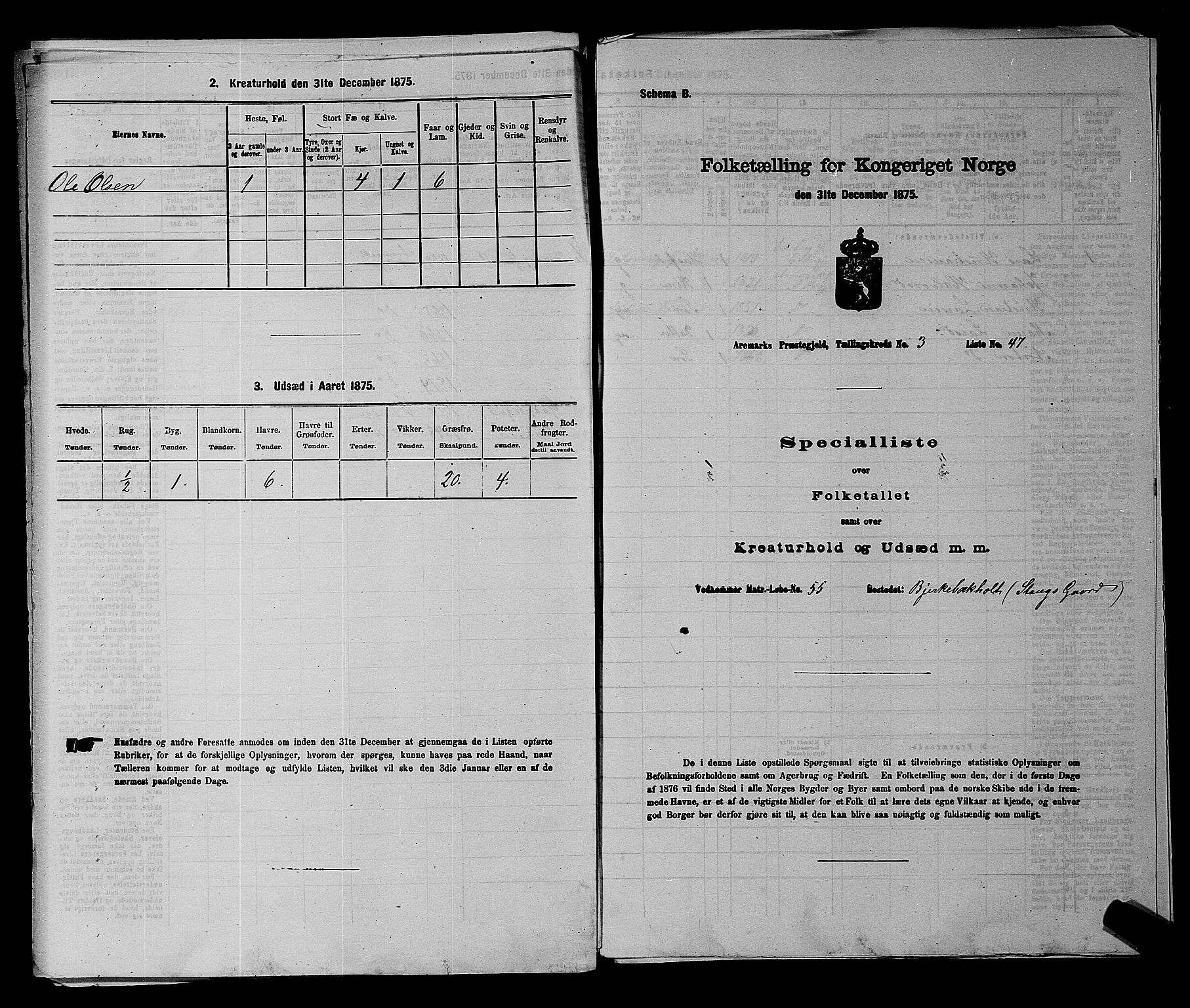RA, 1875 census for 0118P Aremark, 1875, p. 490